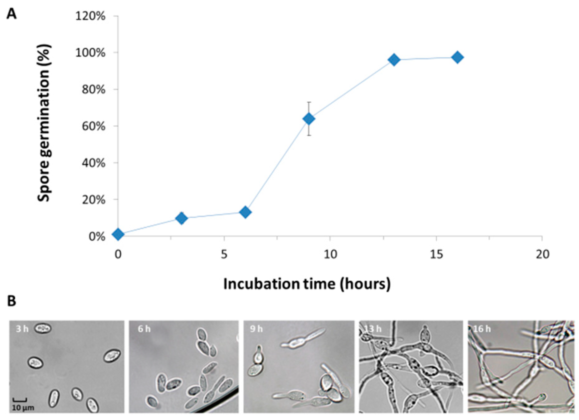 Agronomy 09 00181 g004