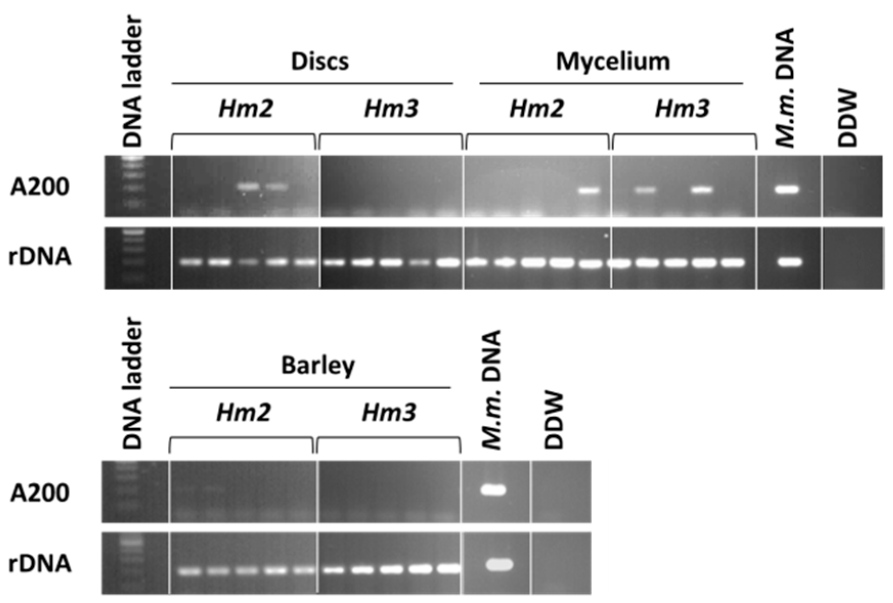 Agronomy 09 00181 g011