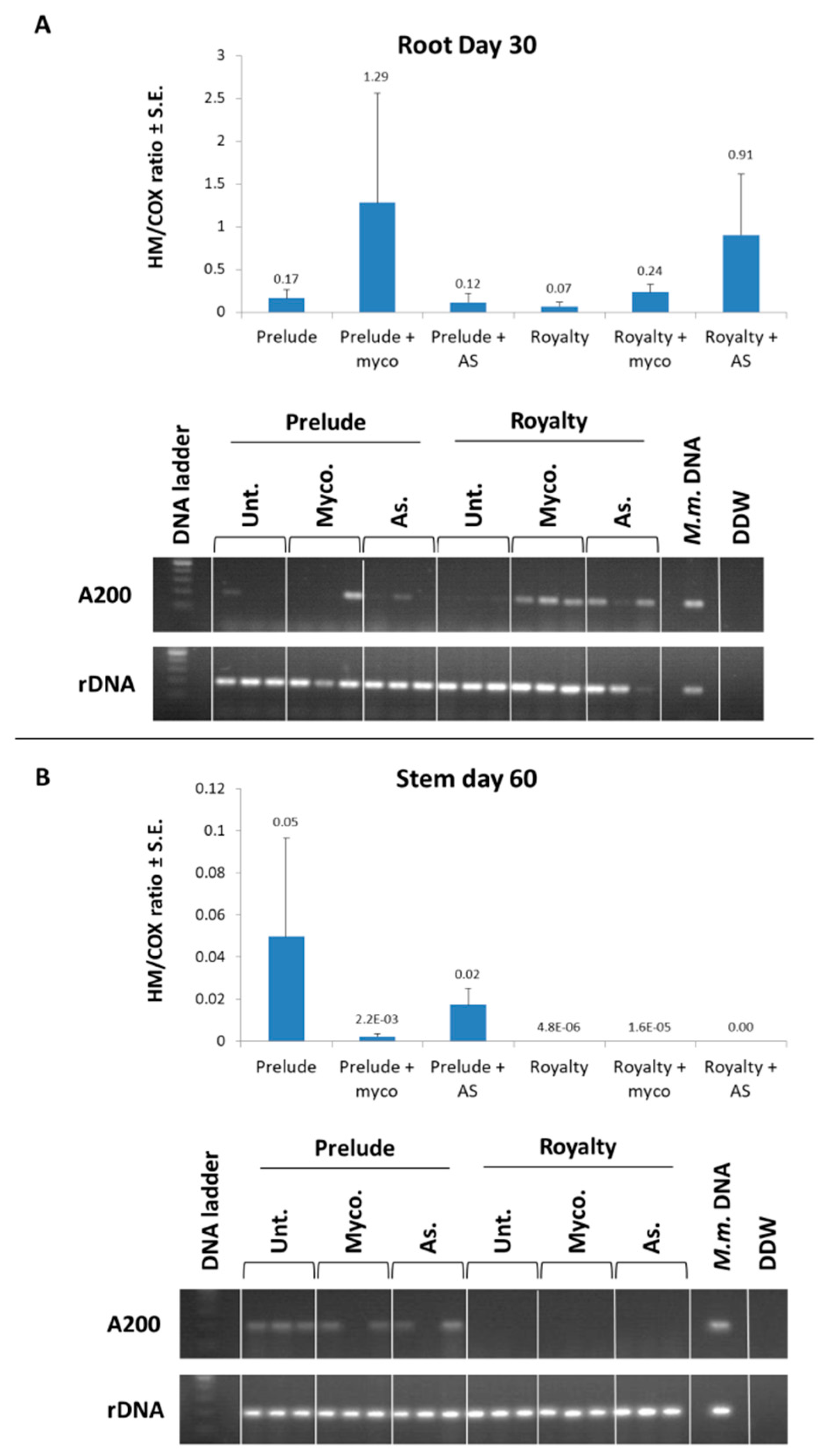 Agronomy 09 00181 g014