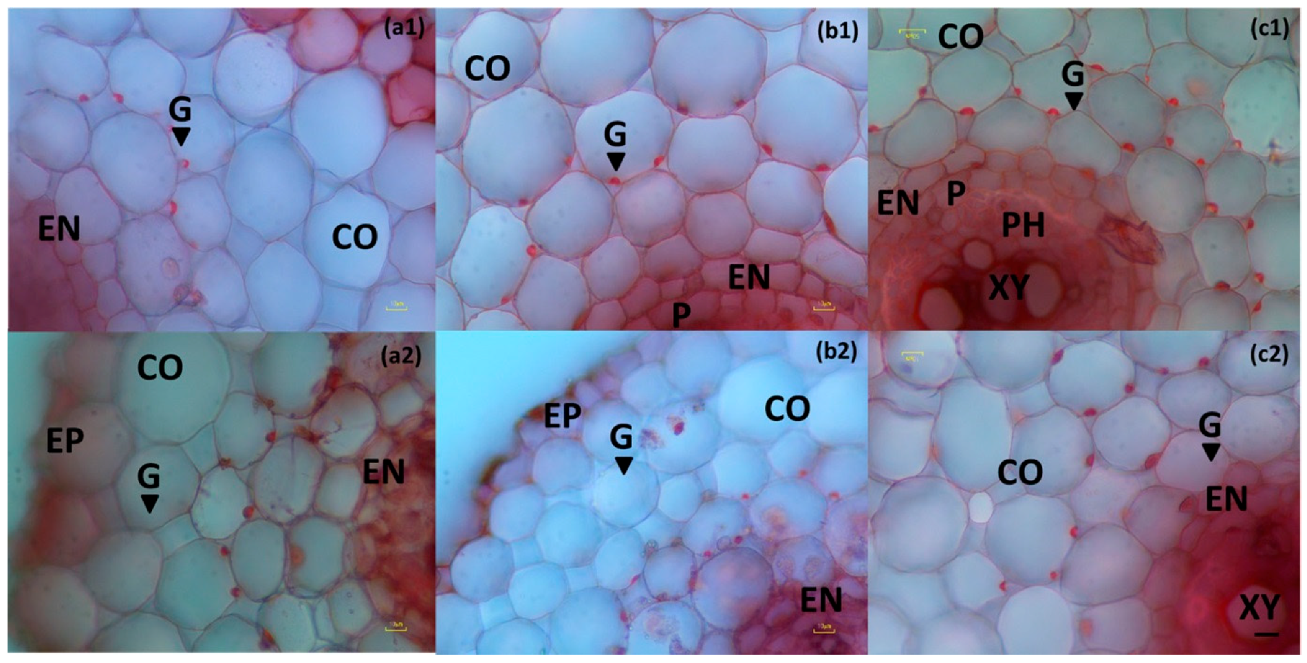 Agronomy 09 00215 g008 Agronomy 09 00215 g008