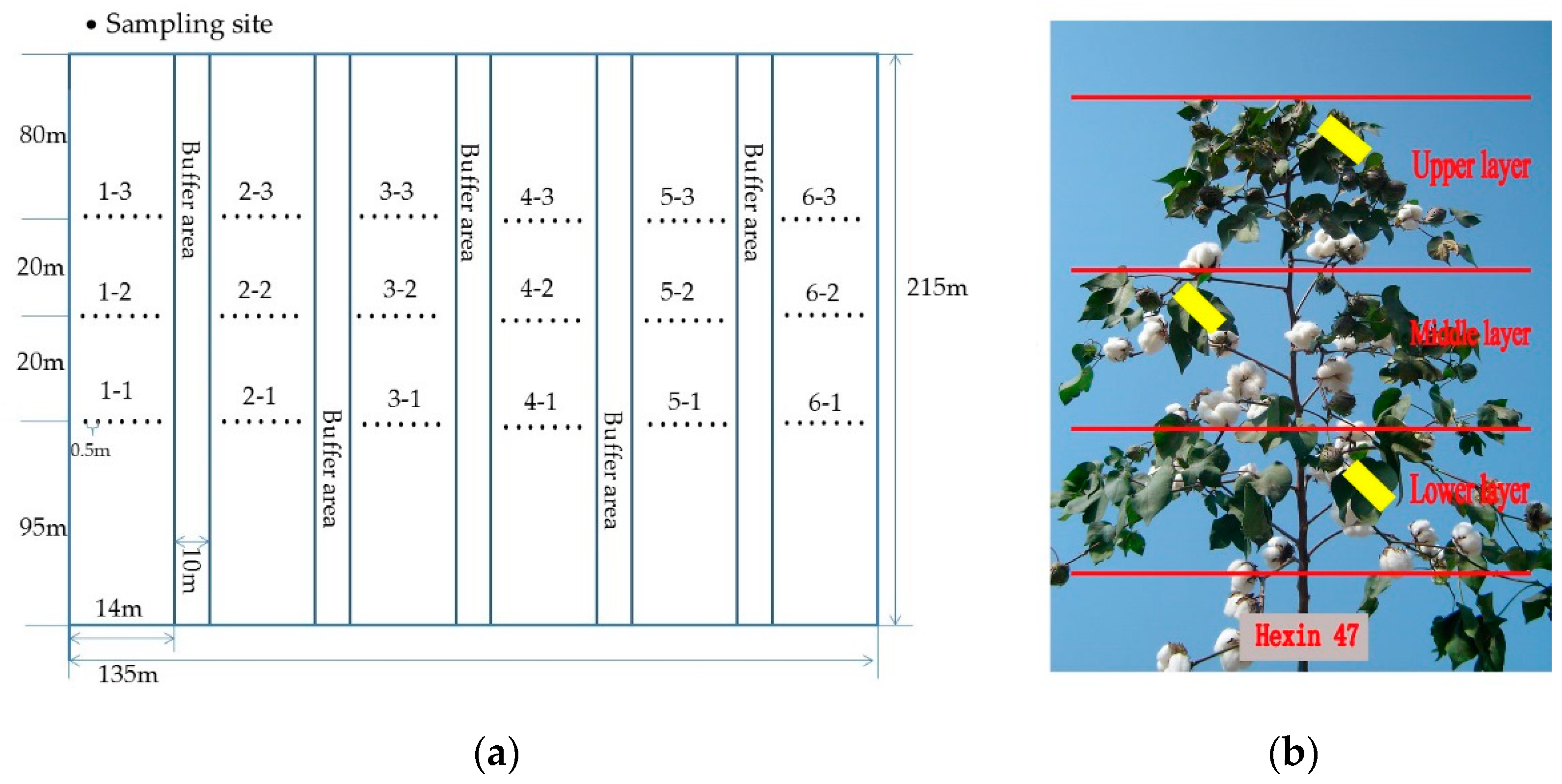 Agronomy 09 00217 g002