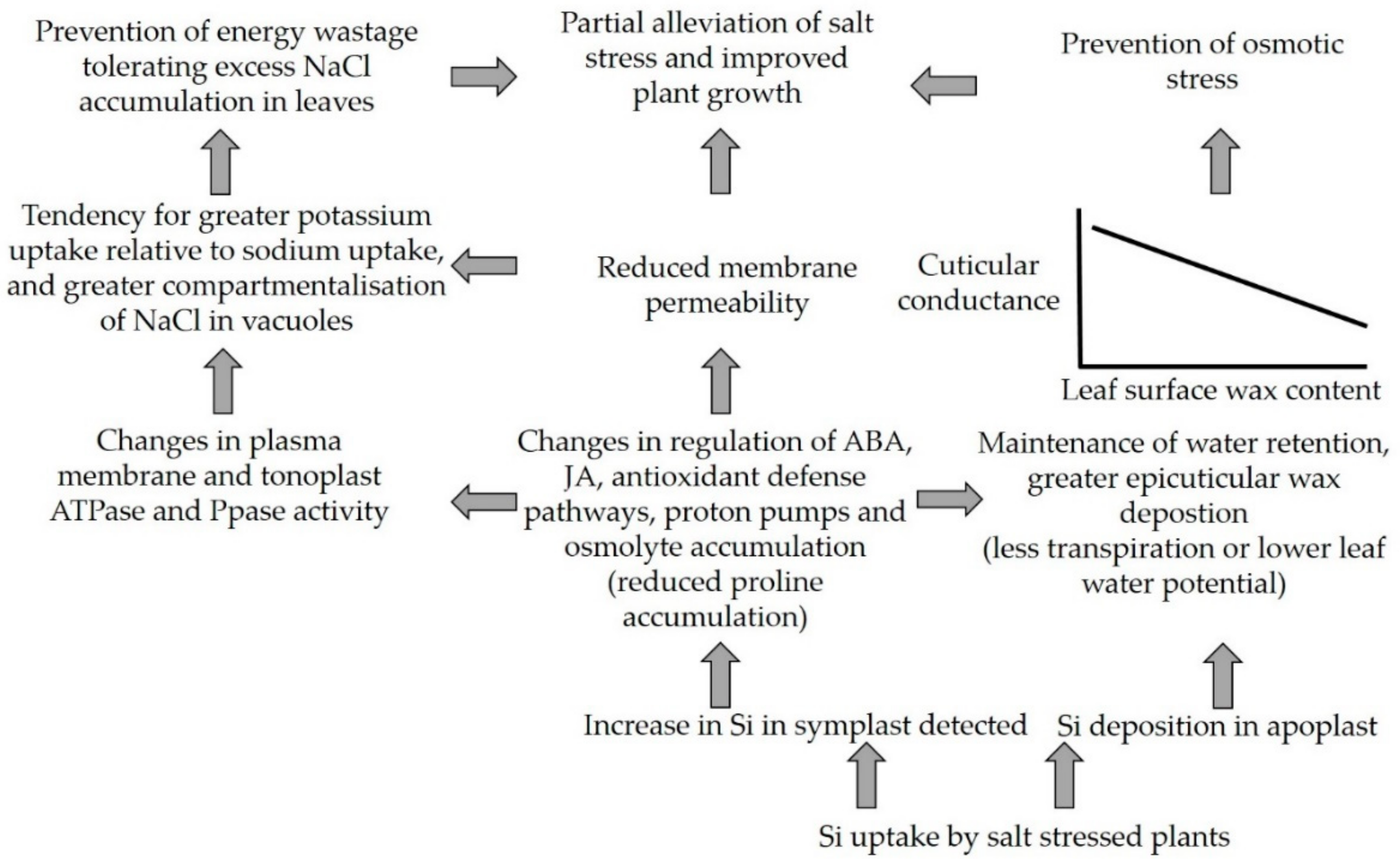 Agronomy 09 00246 g005