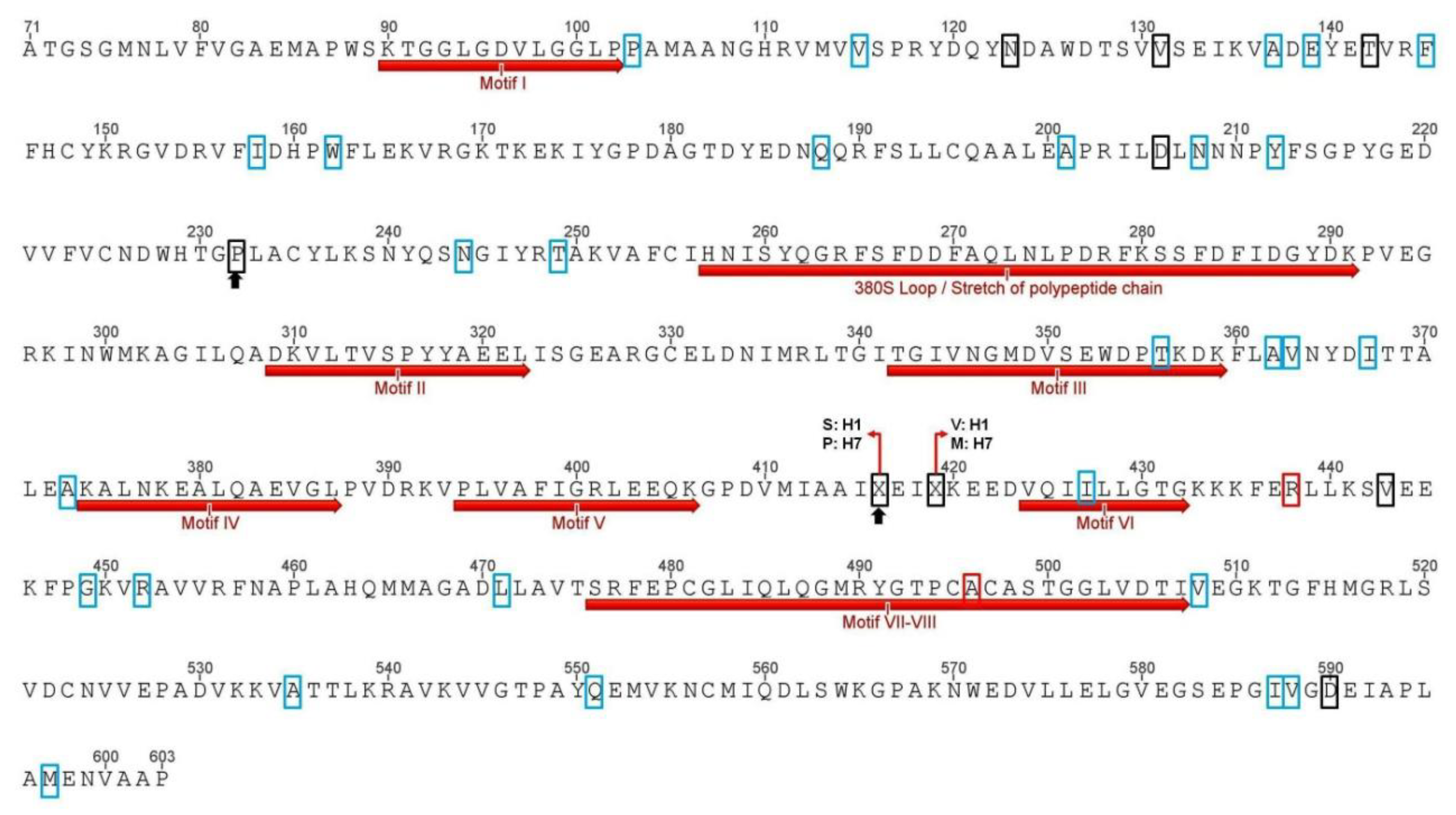 Agronomy 09 00261 g003