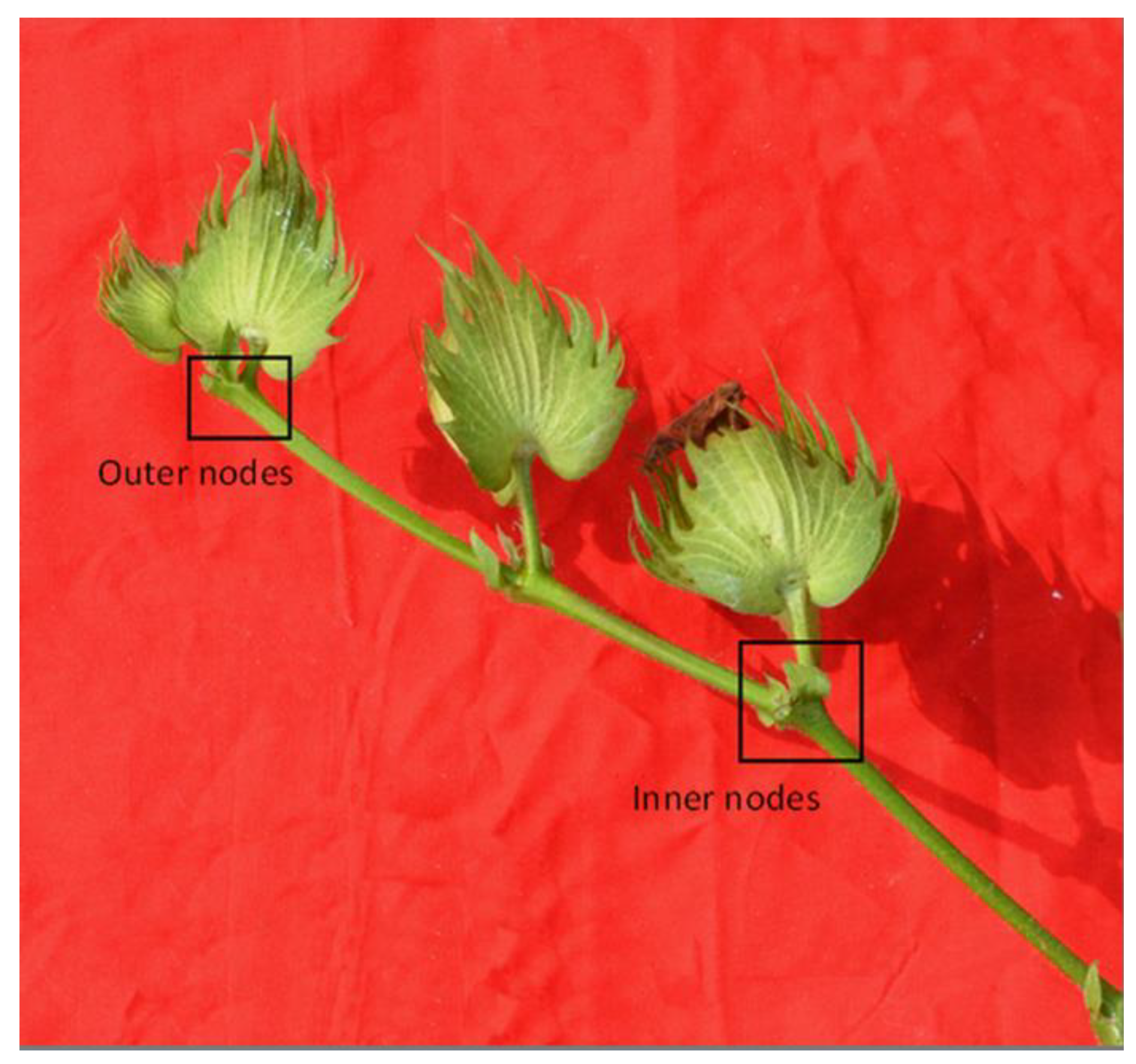 Agronomy 09 00271 g001 550