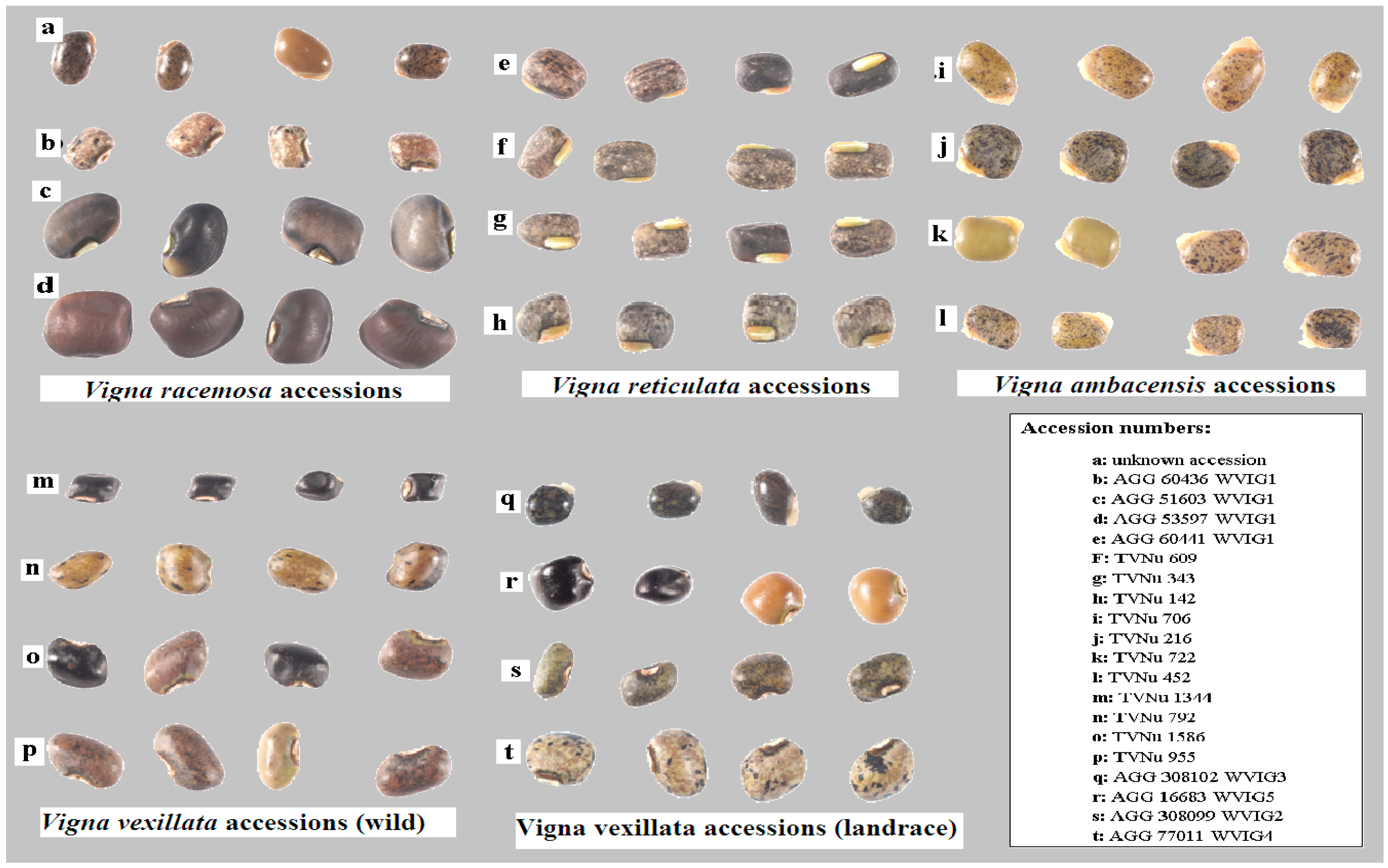 Agronomy 09 00284 g002 Agronomy 09 00284 g002