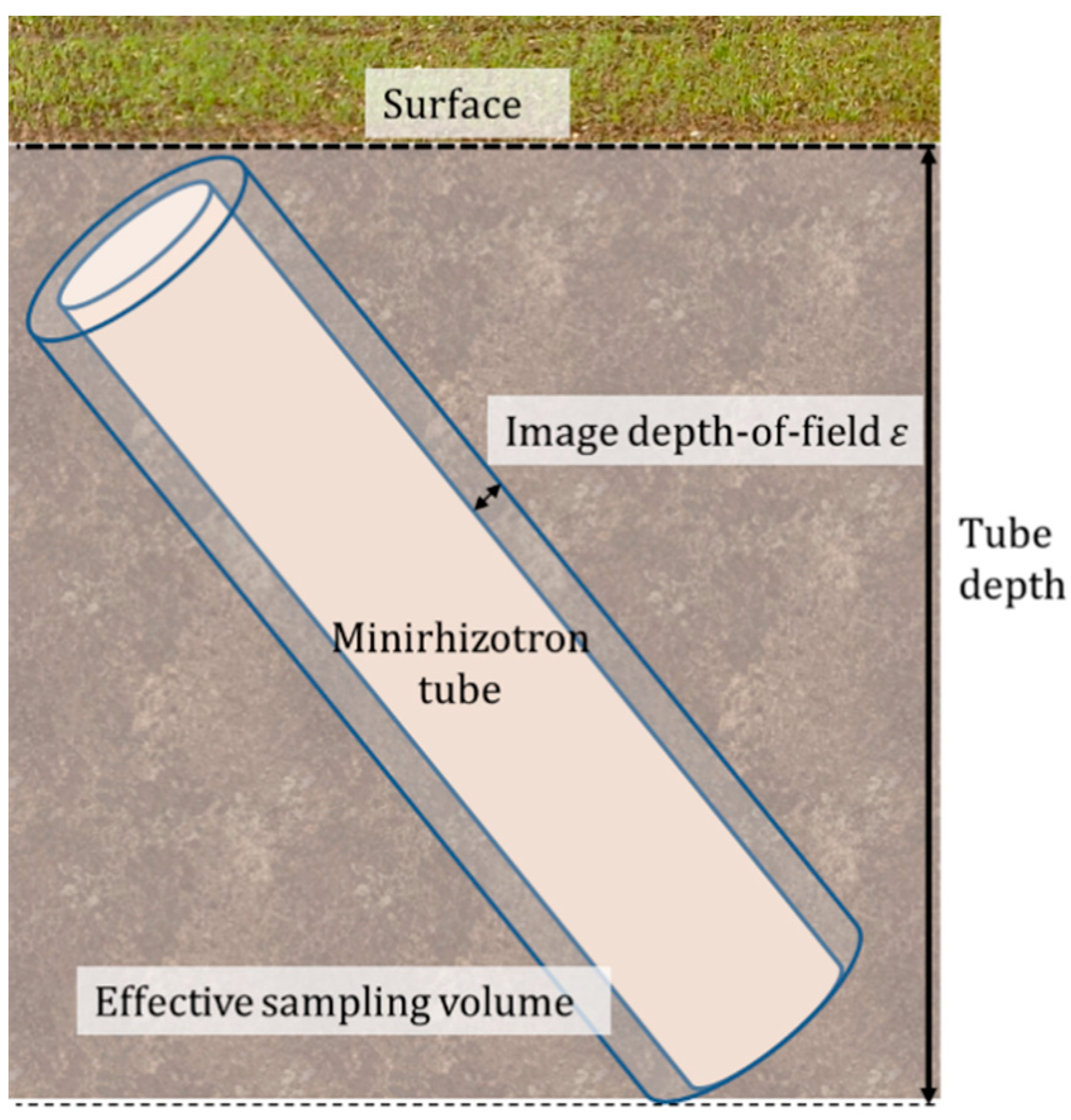 Agronomy 09 00297 g003