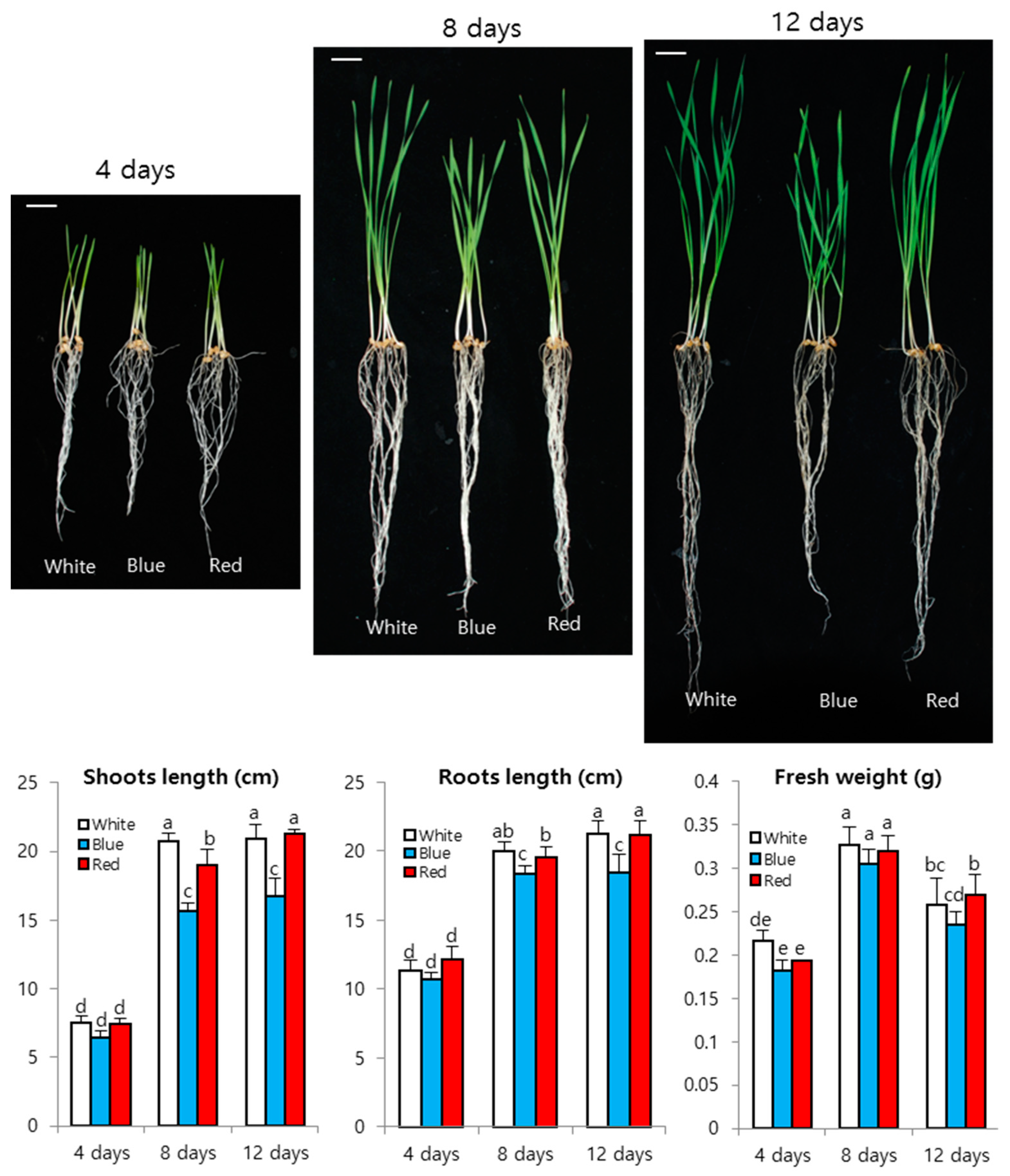Agronomy 09 00307 g002 Agronomy 09 00307 g002