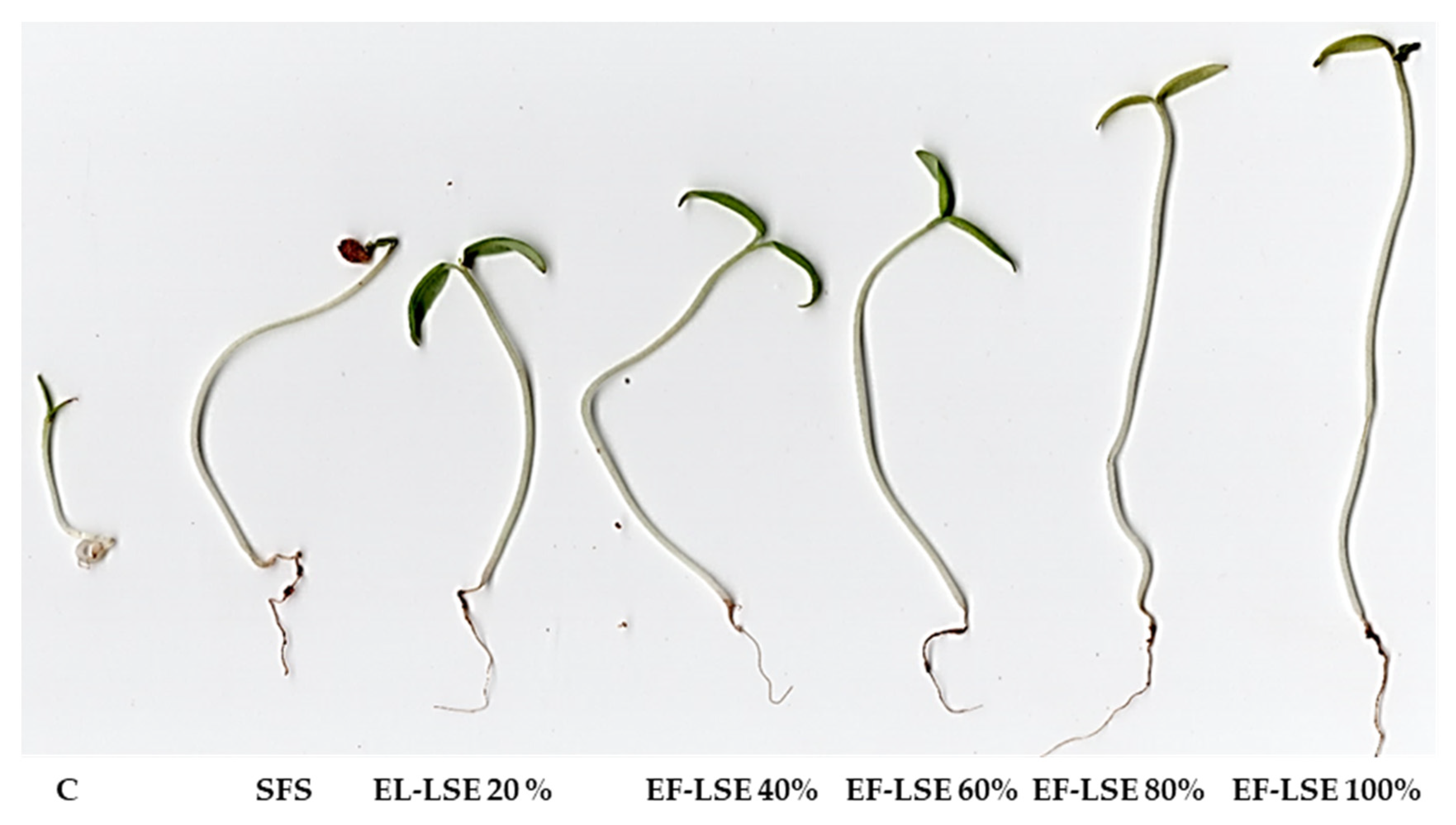 Agronomy 09 00311 g005