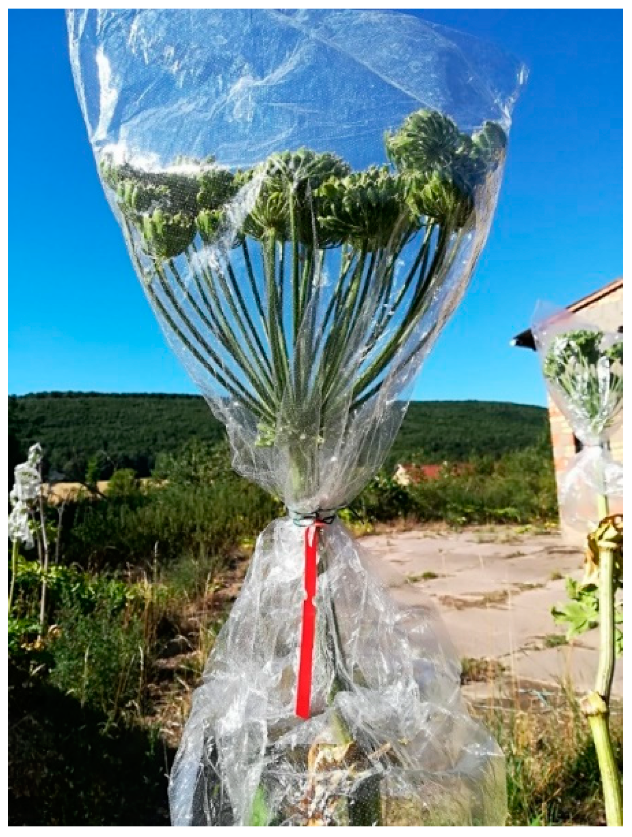 Agronomy 09 00332 g0a1