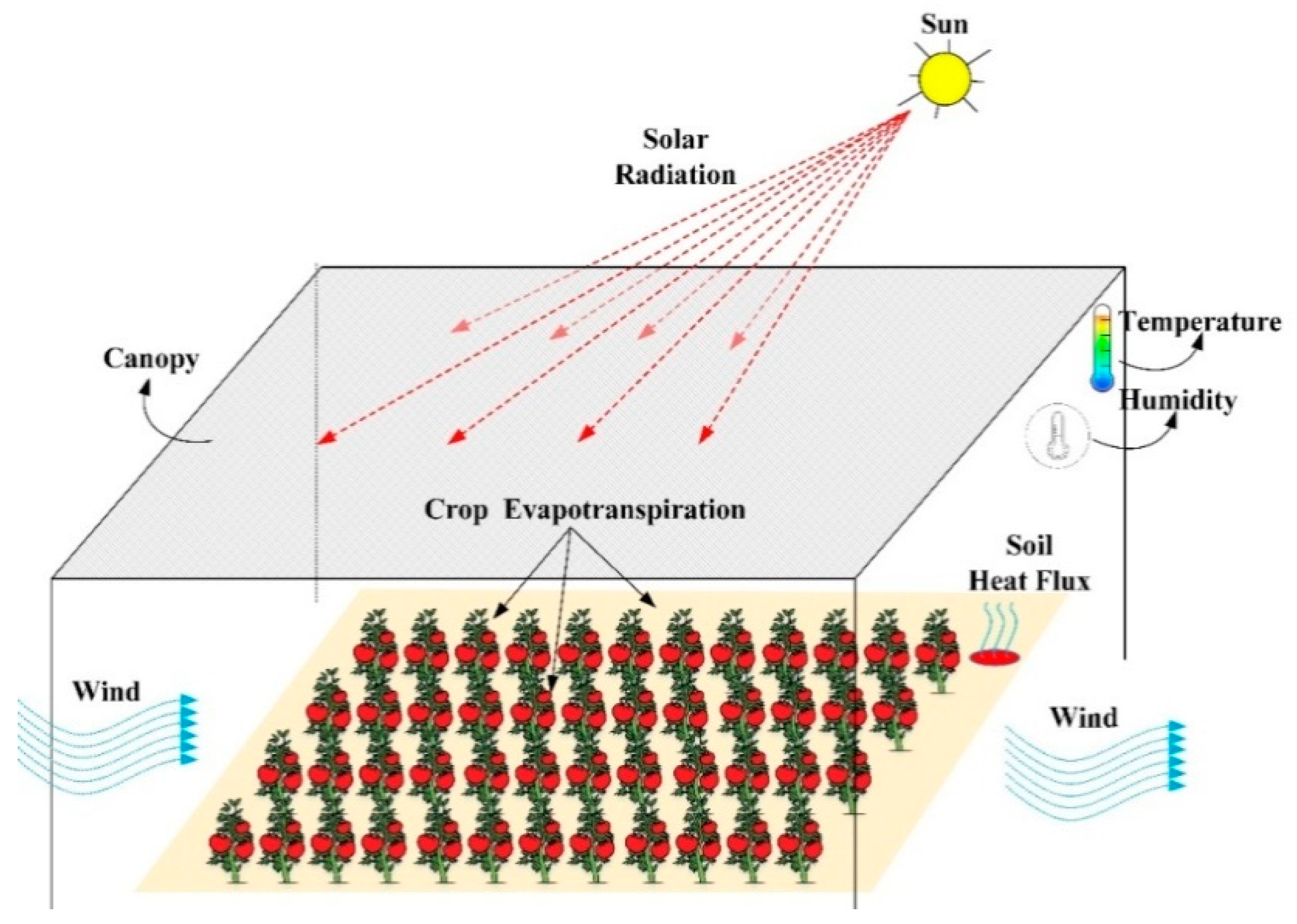 Evapotranspiration over San Joaquin Valley