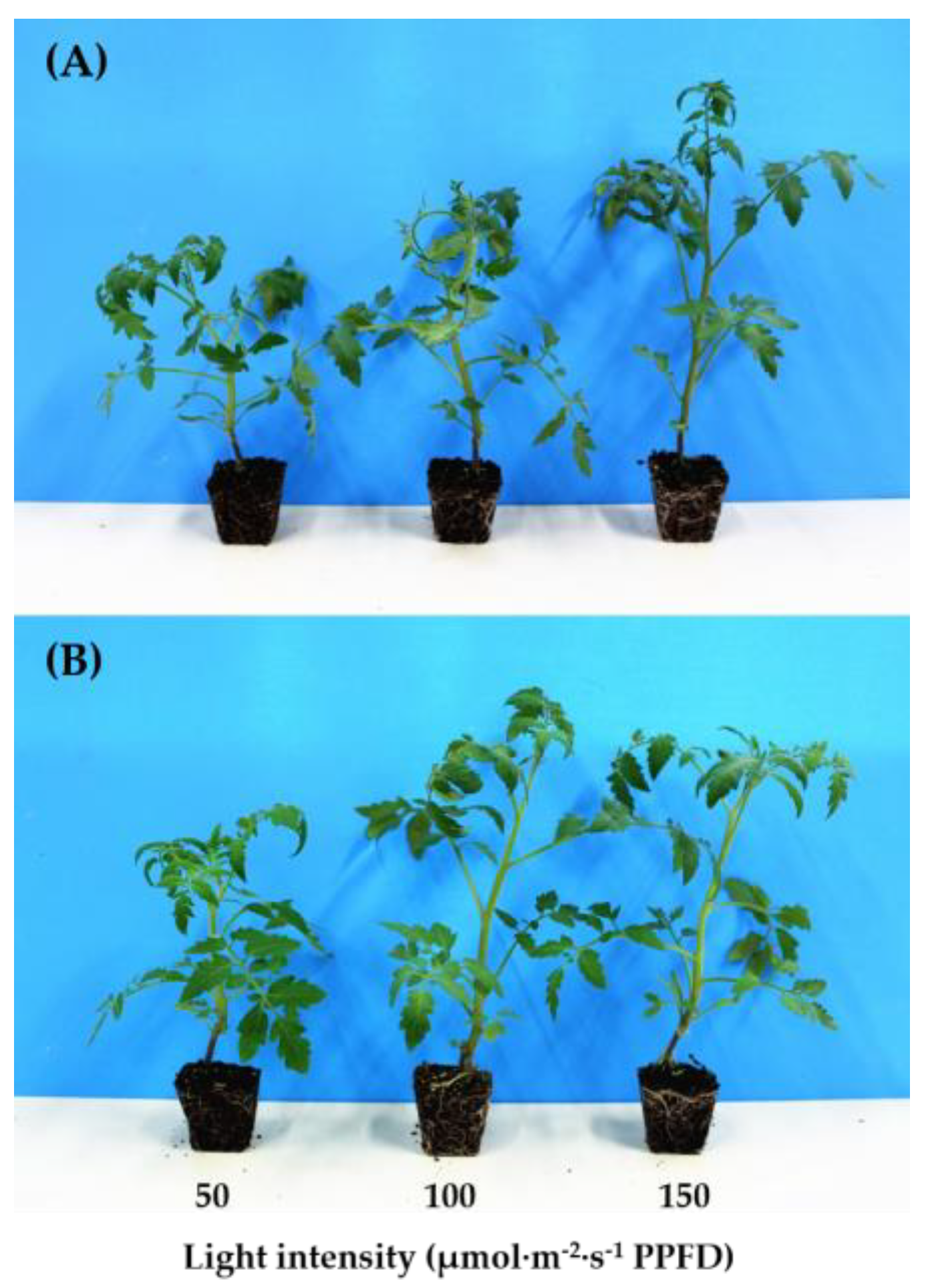 Agronomy 09 00339 g004