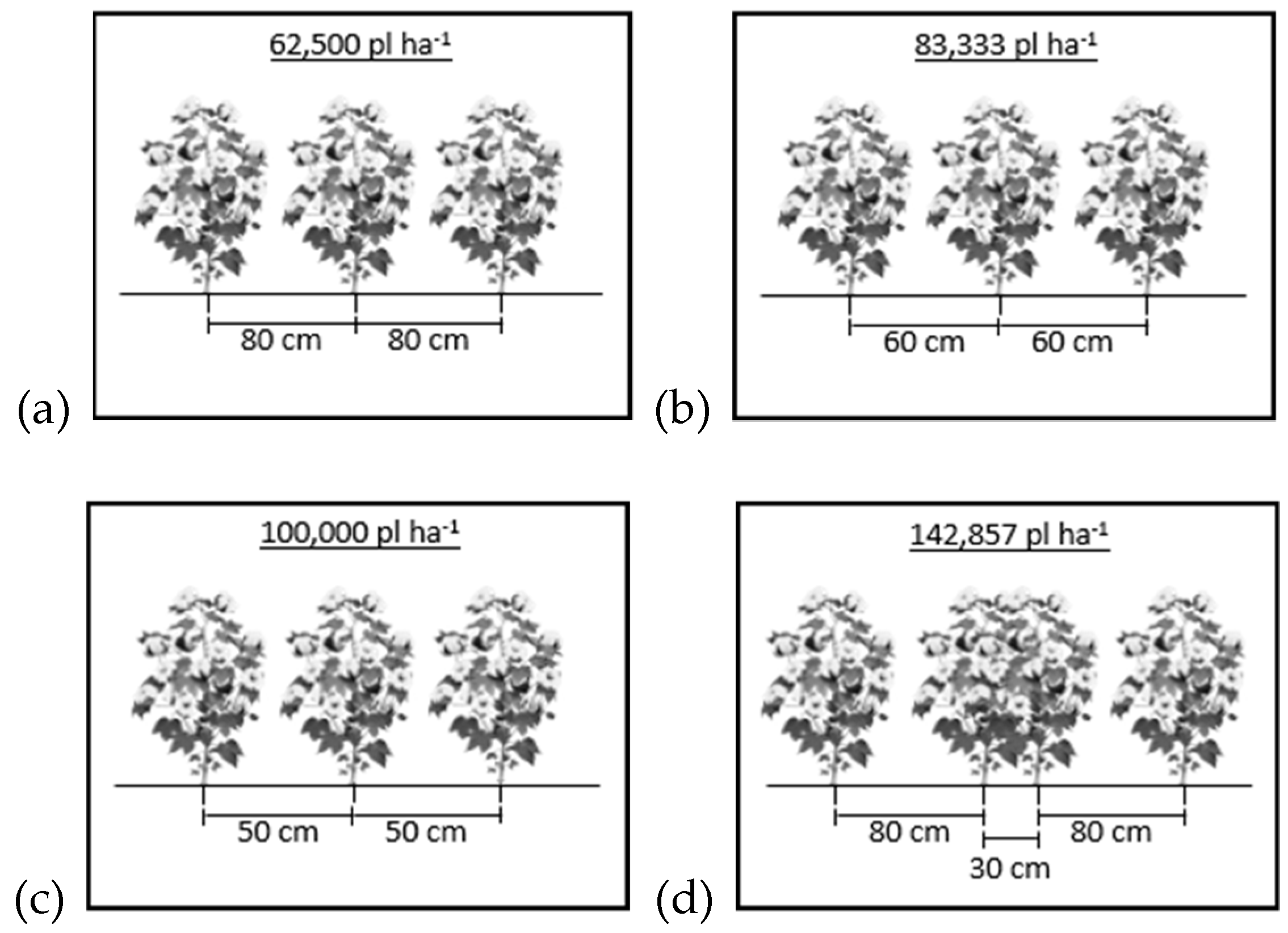 Agronomy 09 00349 g002