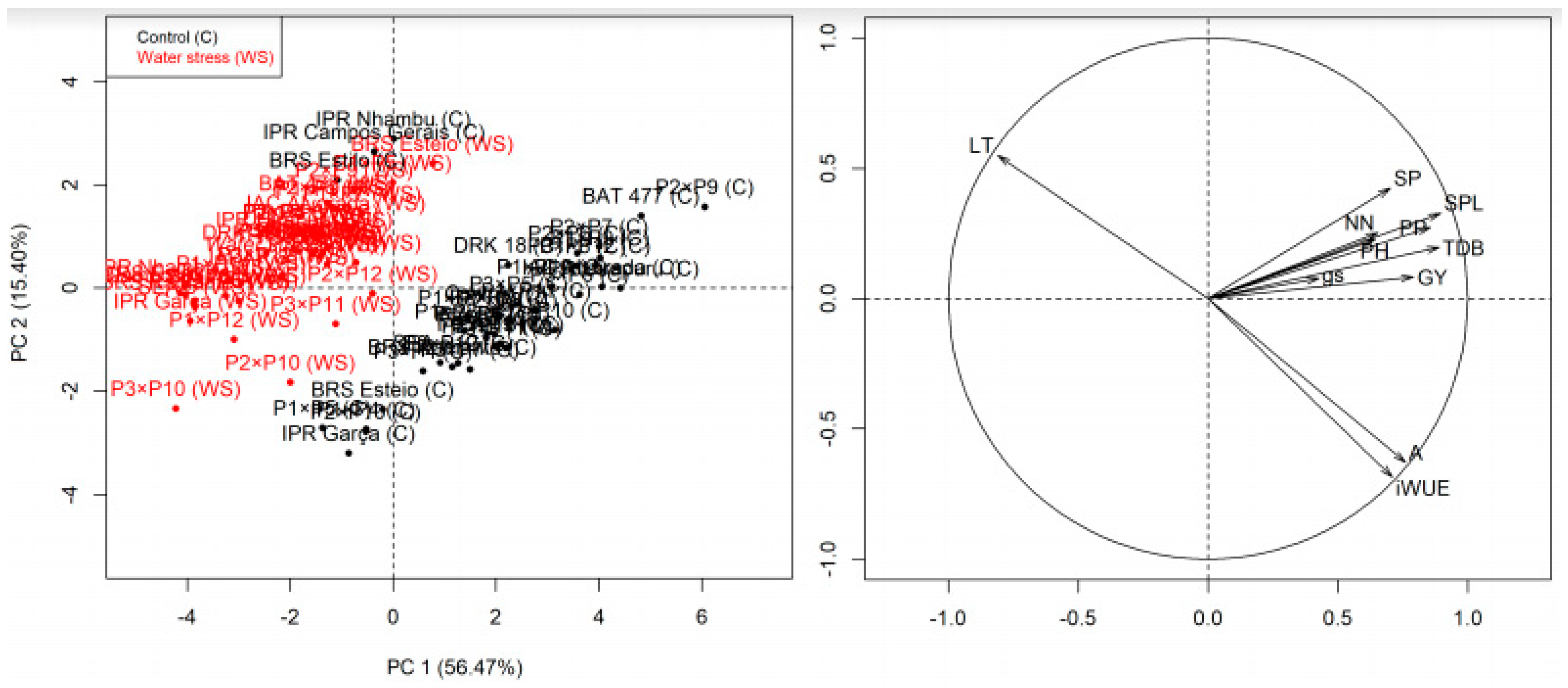 Agronomy 09 00371 g001
