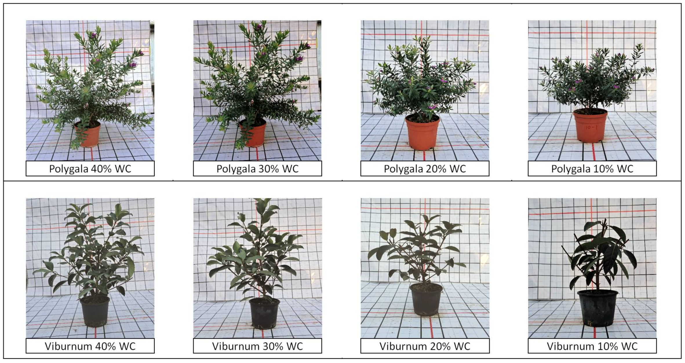 Agronomy 09 00381 g012 Agronomy 09 00381 g012