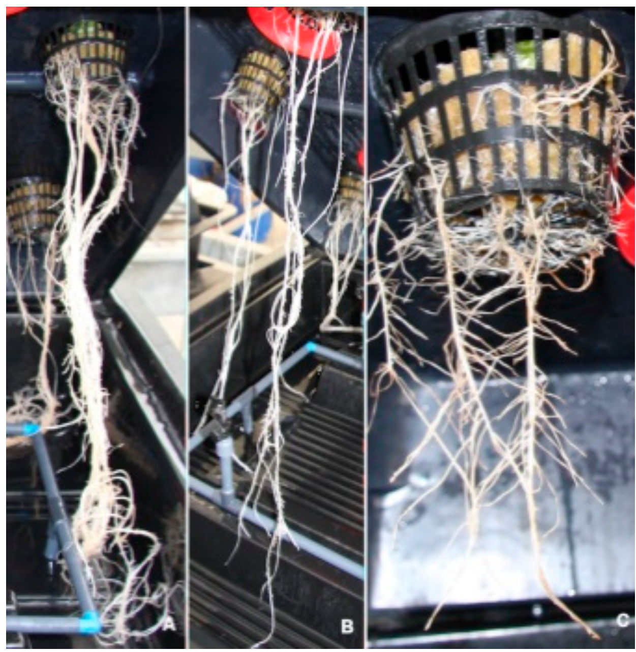 Agronomy 09 00394 g003 Agronomy 09 00394 g003