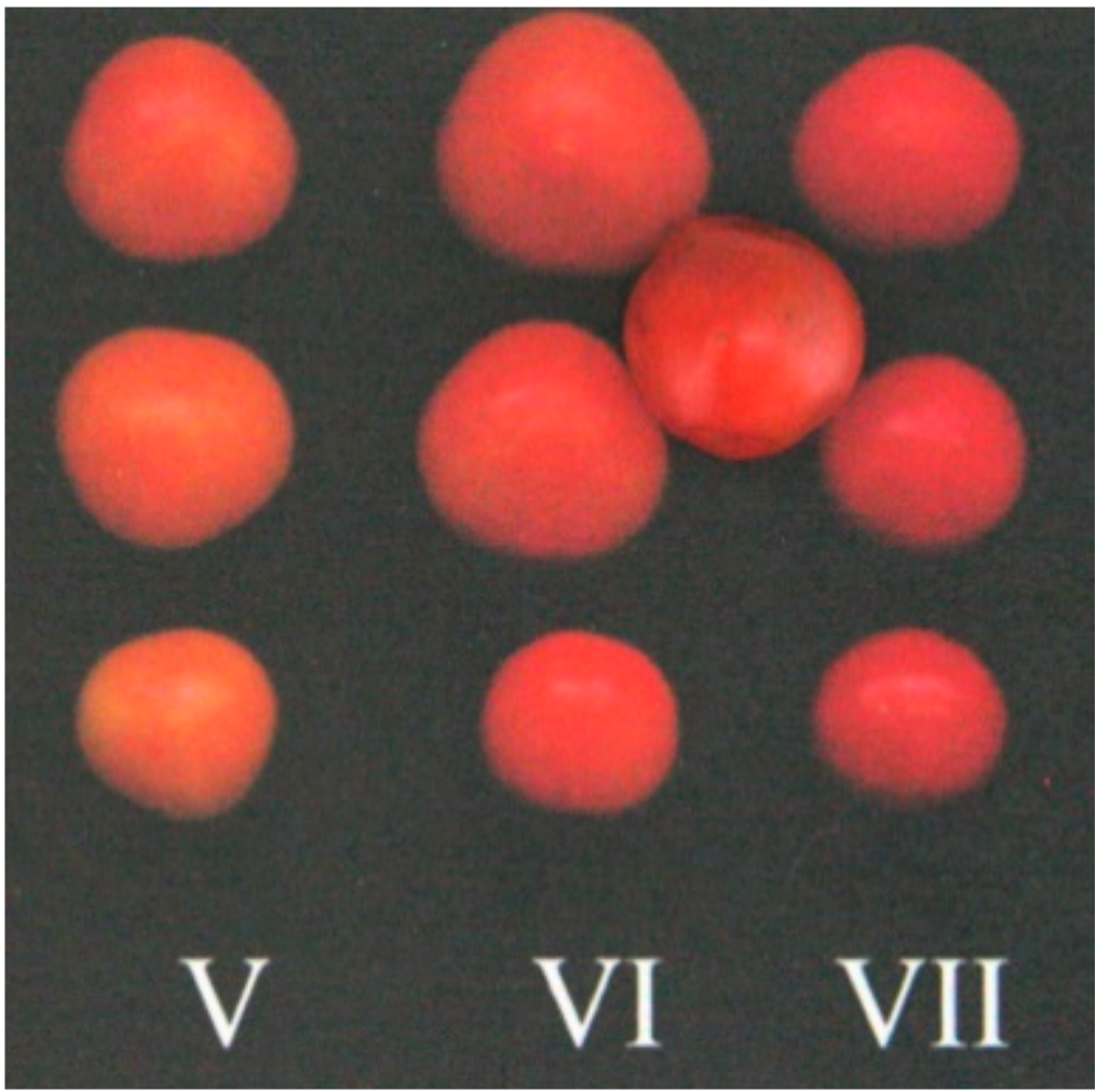 Agronomy 09 00394 g008 Agronomy 09 00394 g008