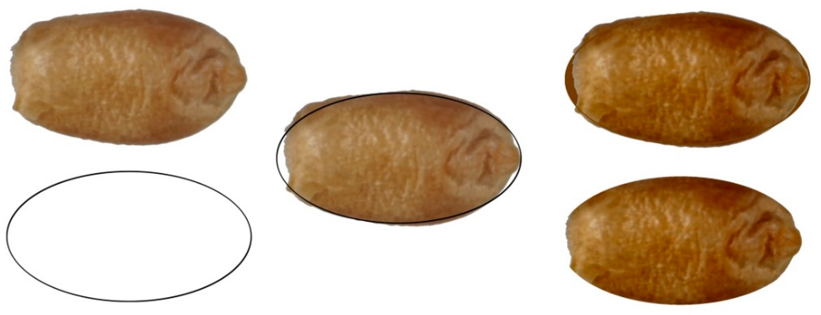 Agronomy 09 00399 g002