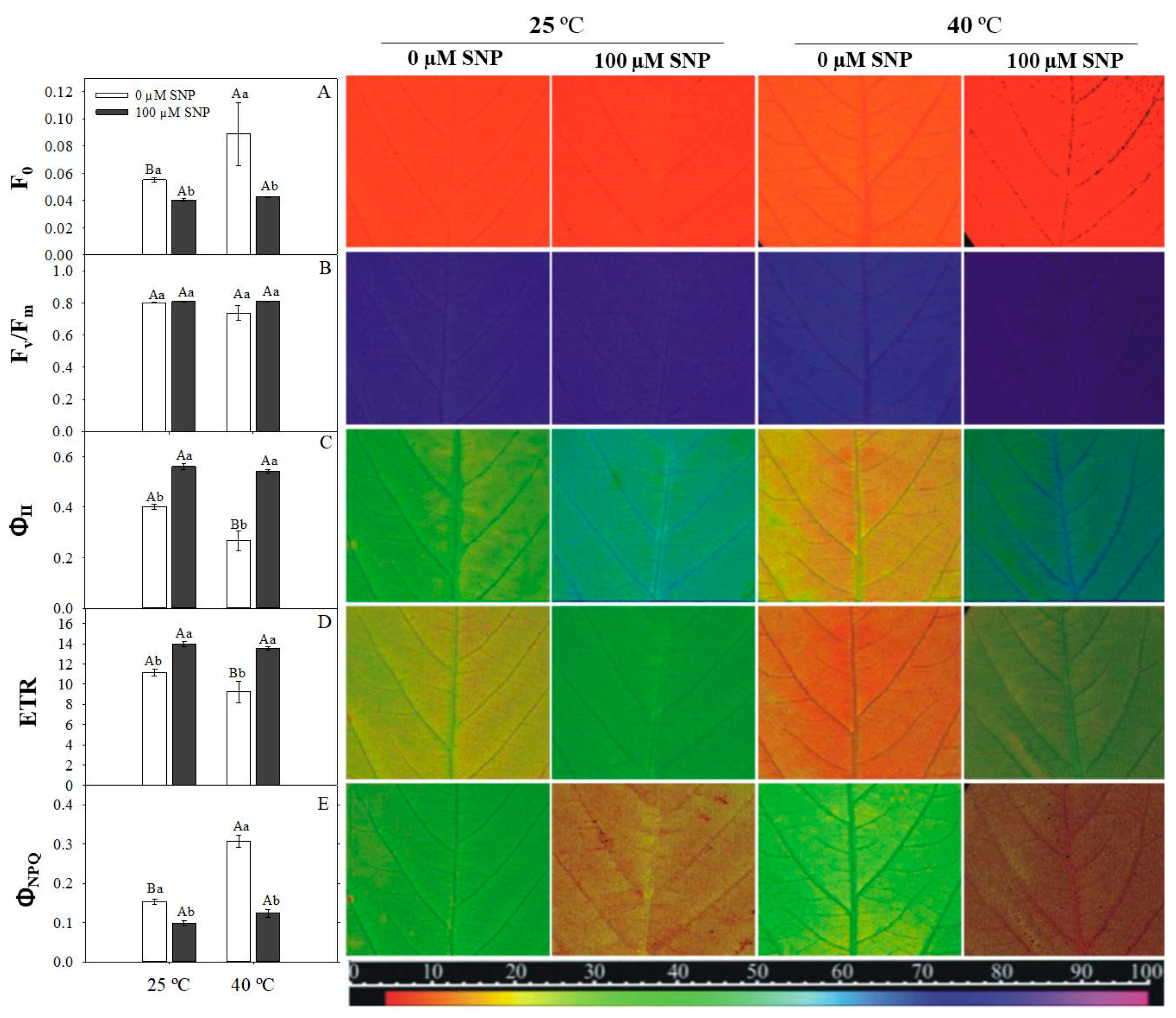 Agronomy 09 00412 g005