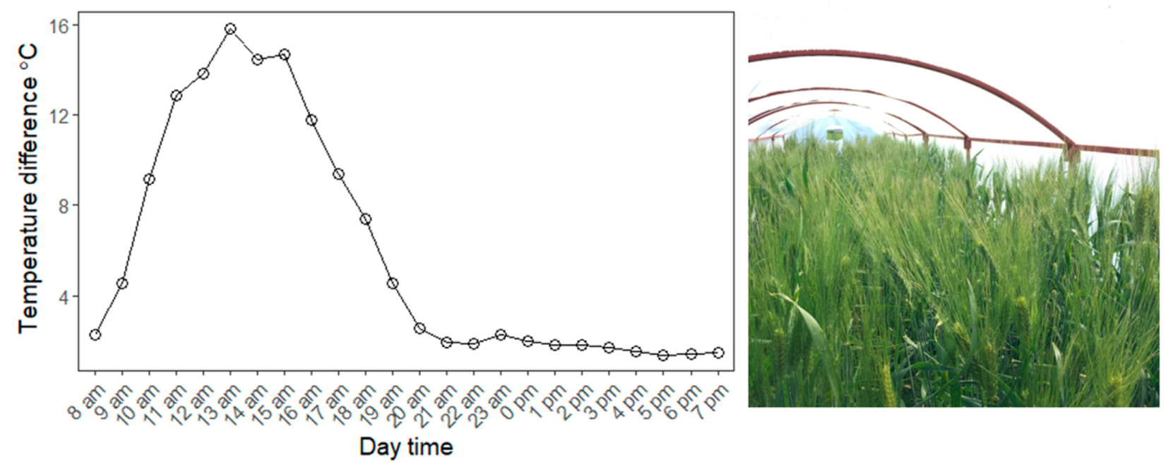 Agronomy 09 00414 g001