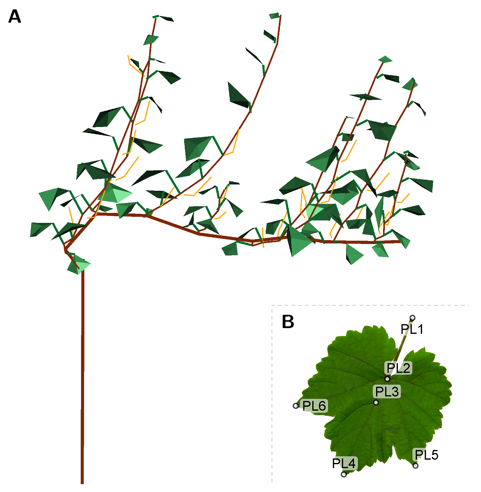 Agronomy 09 00426 g001 Agronomy 09 00426 g001
