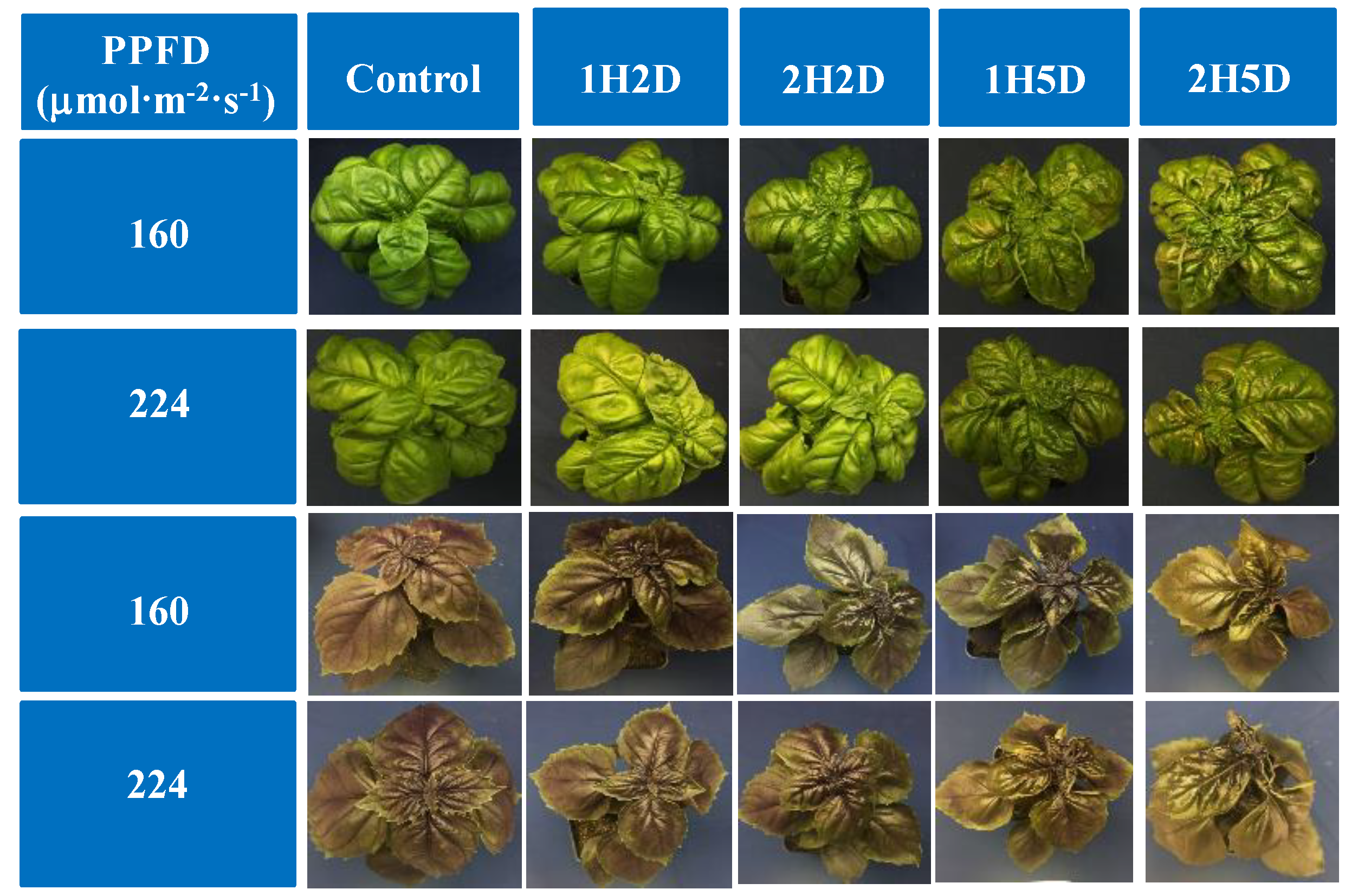 Agronomy 09 00434 g003 Agronomy 09 00434 g003