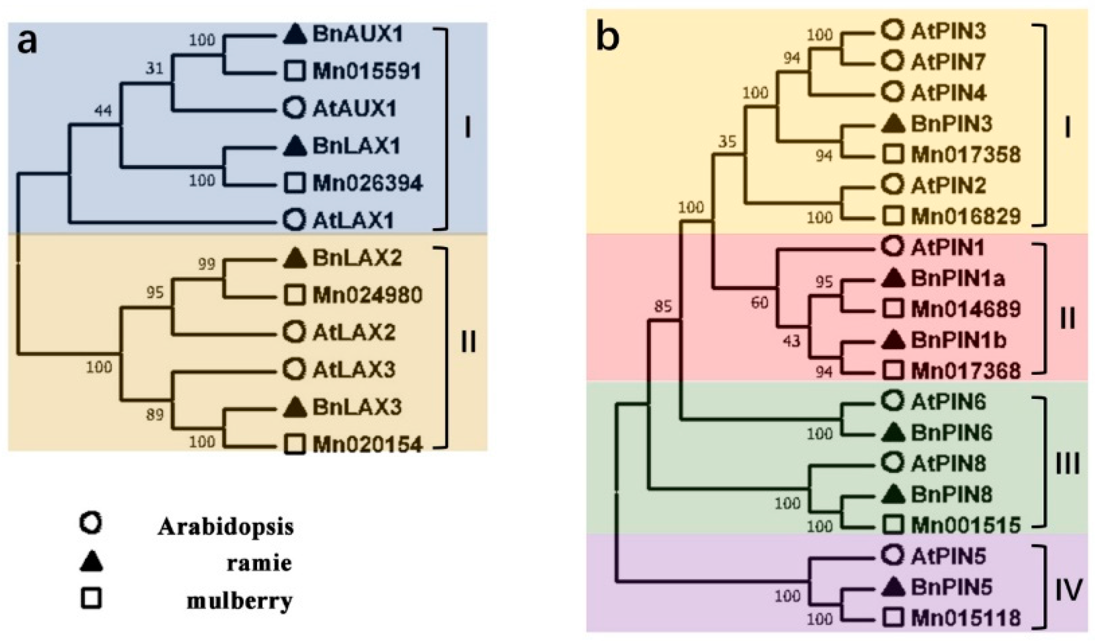 Agronomy 09 00435 g001