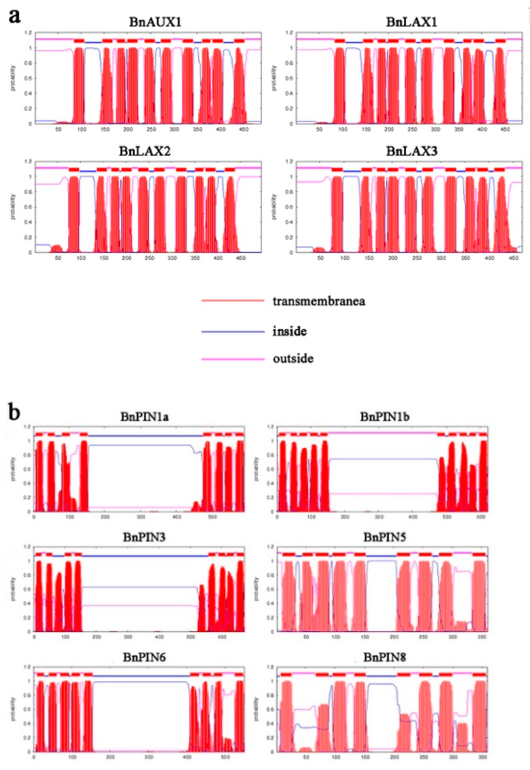 Agronomy 09 00435 g003