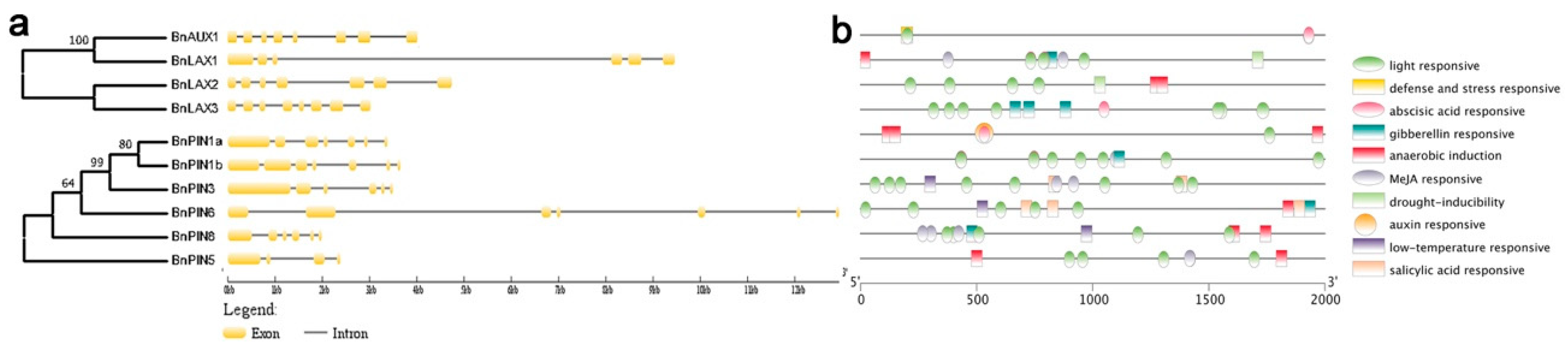 Agronomy 09 00435 g004