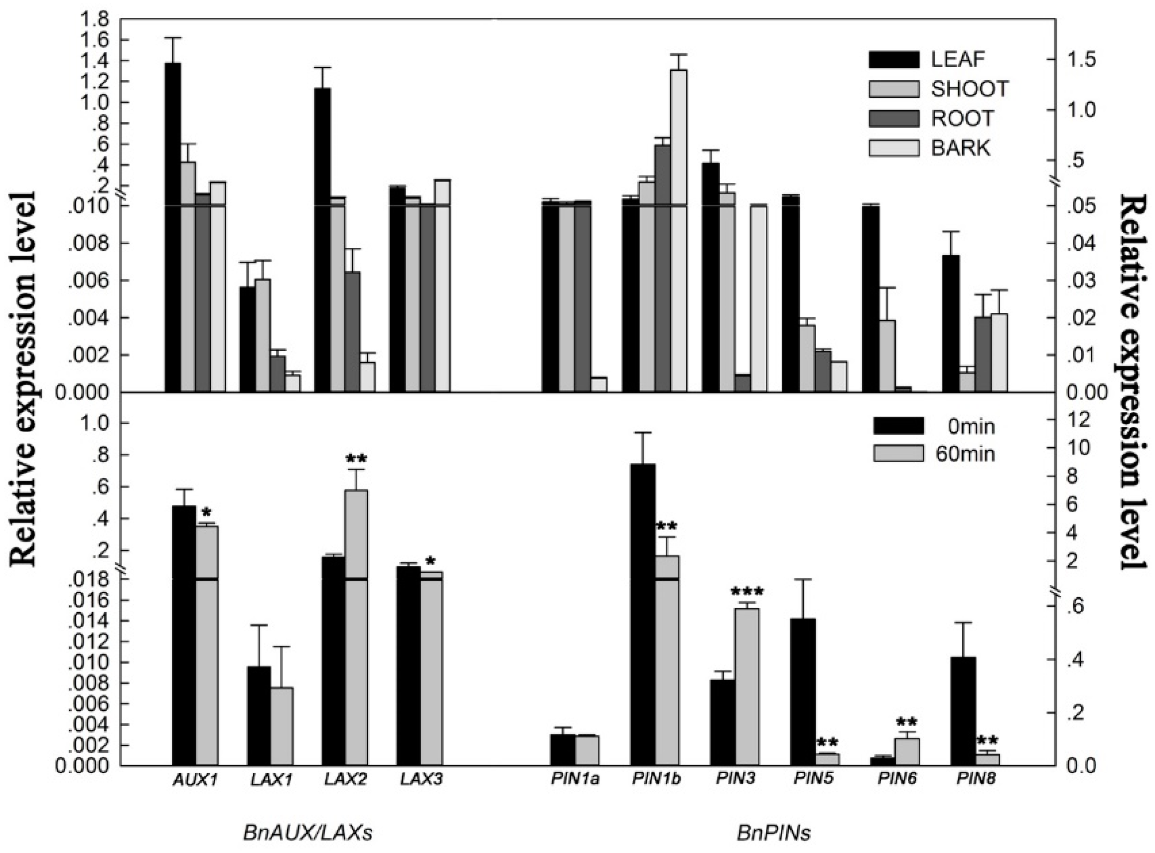 Agronomy 09 00435 g005