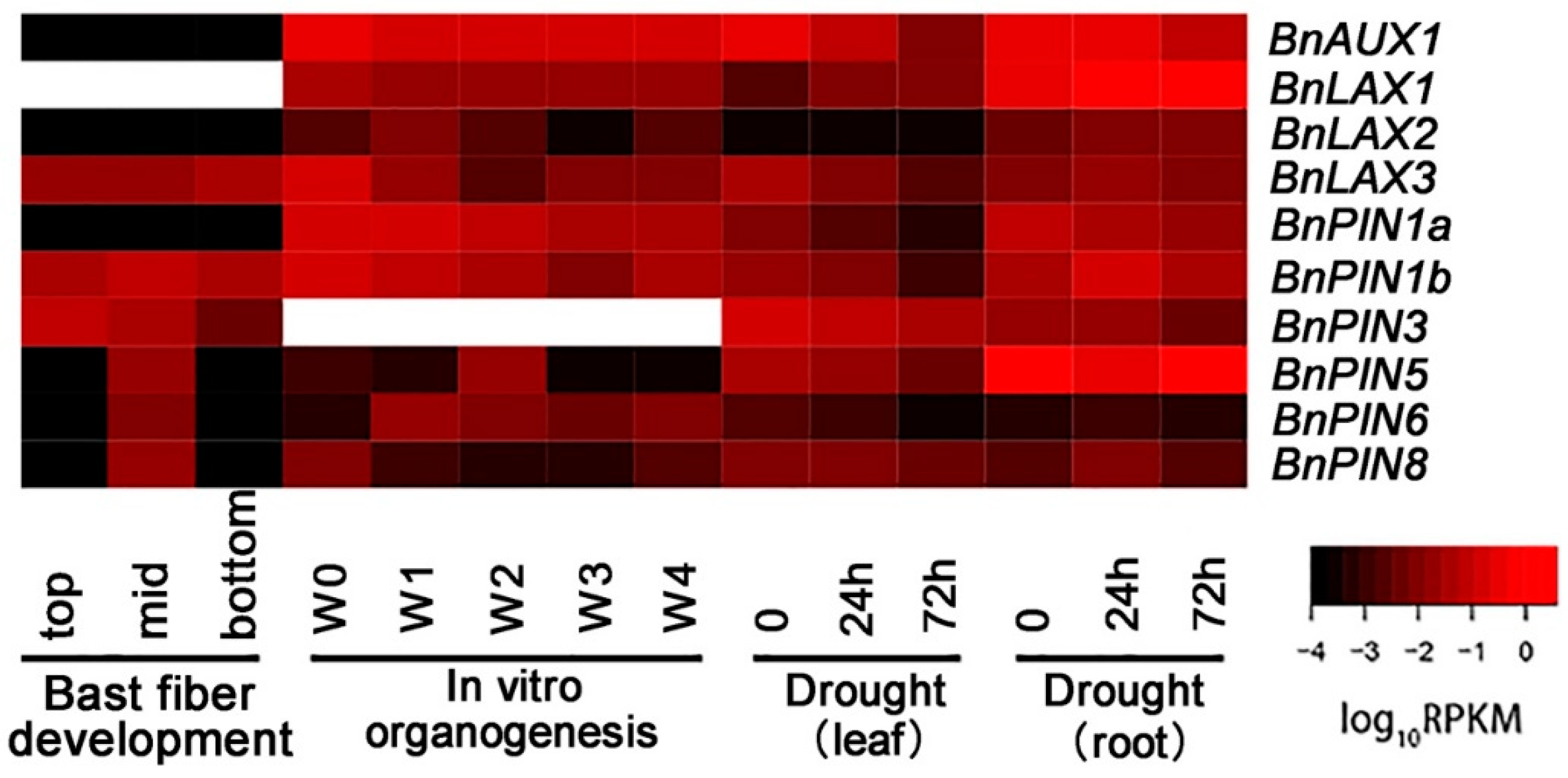 Agronomy 09 00435 g006