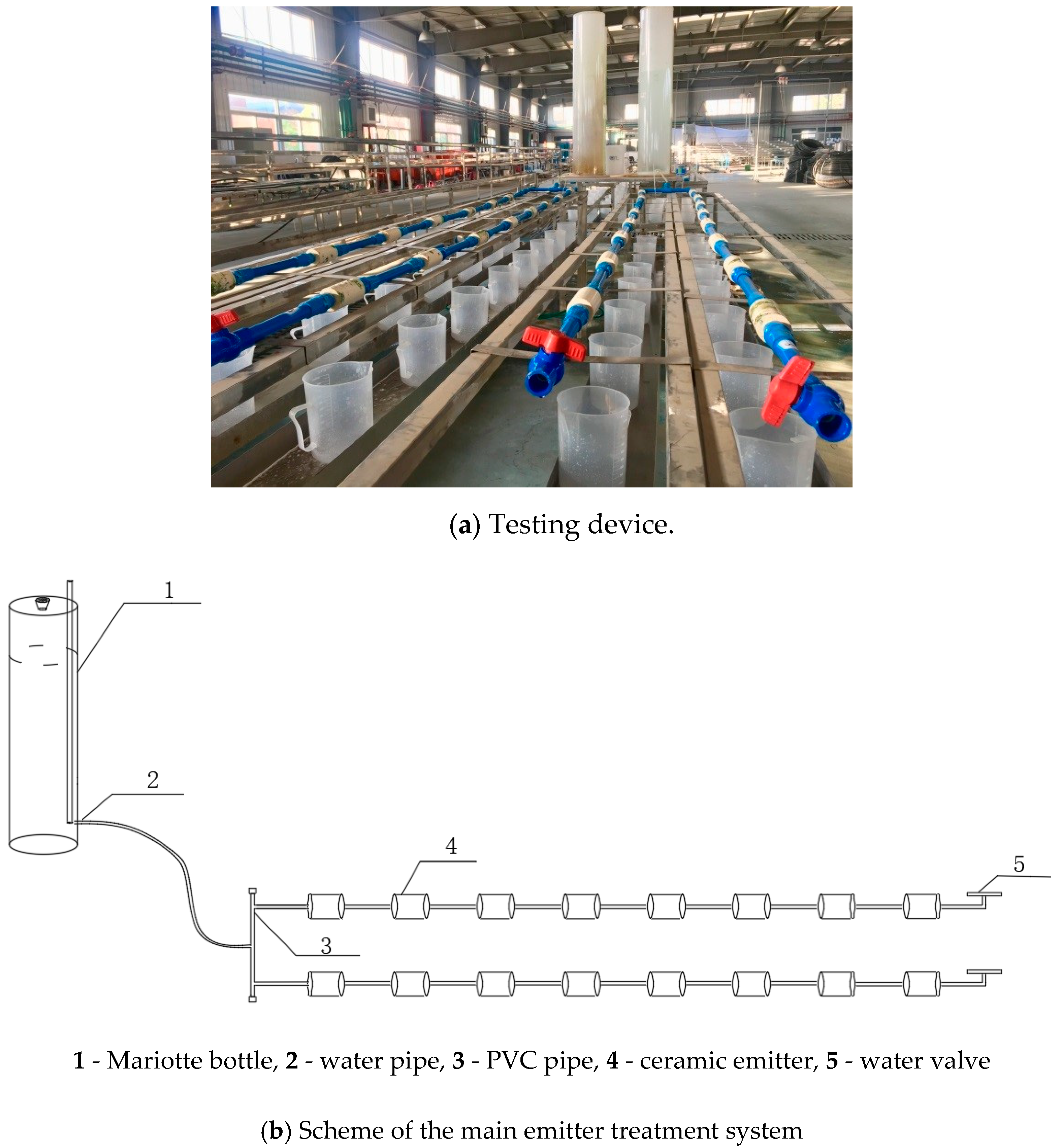Agronomy 09 00436 g002