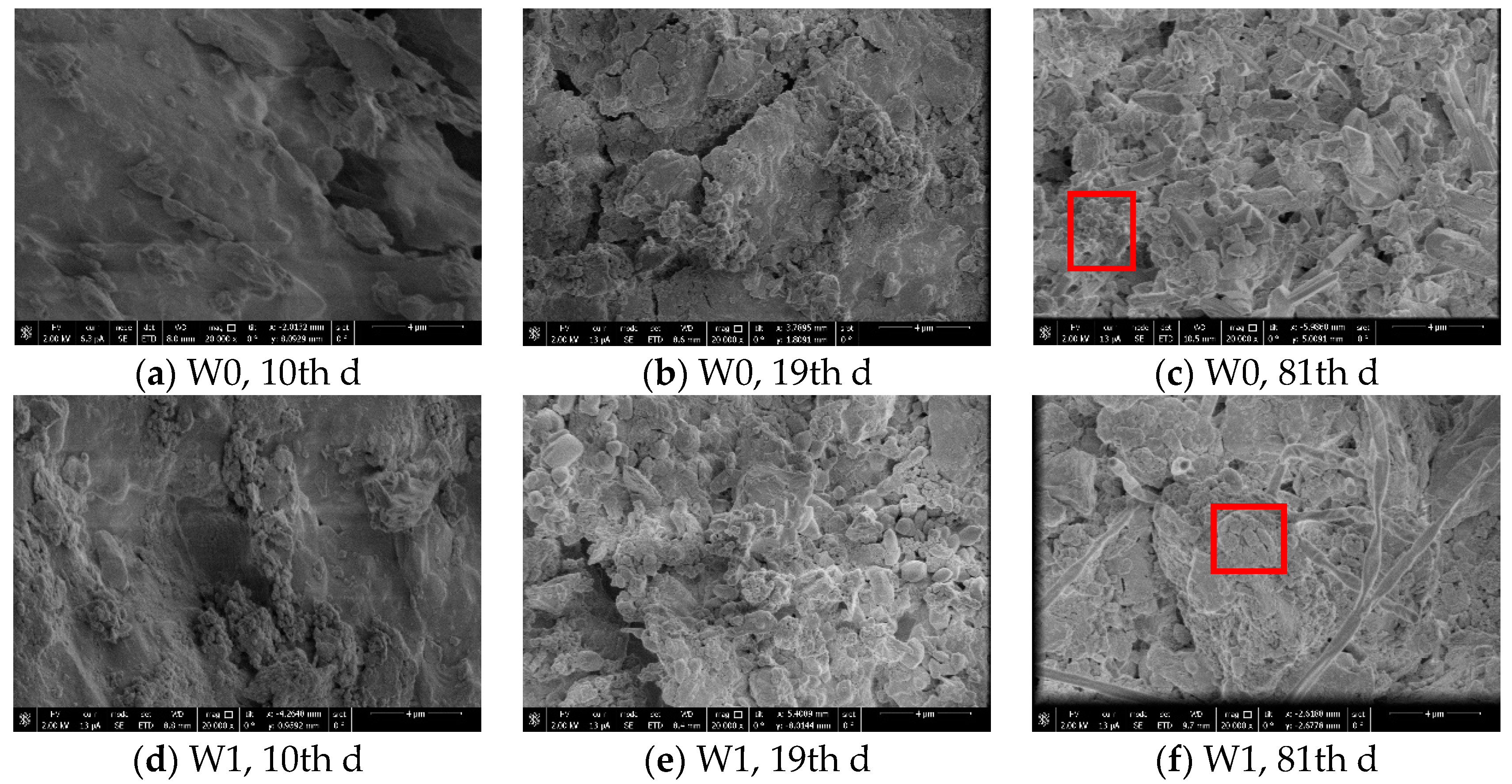 Agronomy 09 00436 g007a