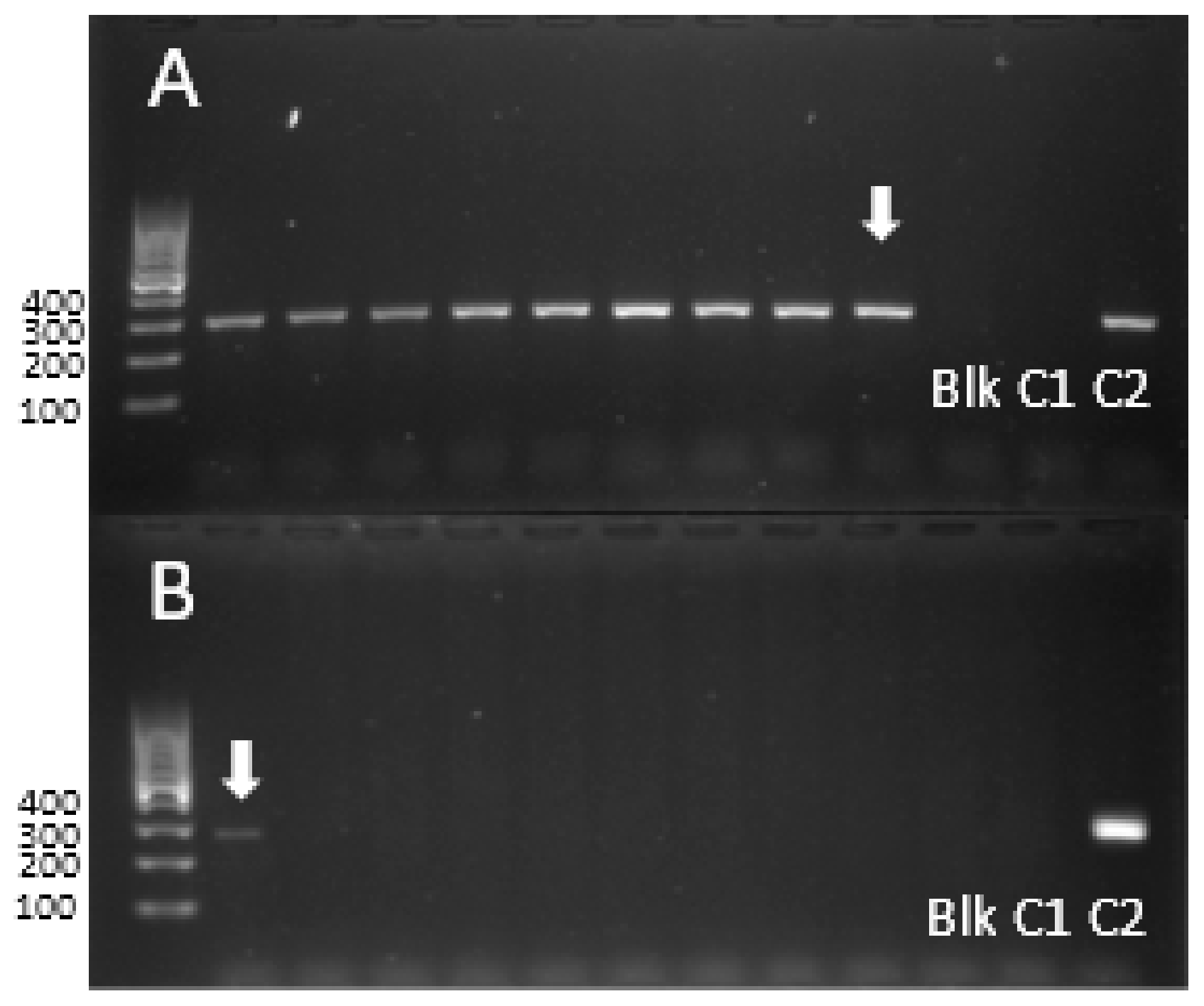 Agronomy 09 00440 g006 Agronomy 09 00440 g006