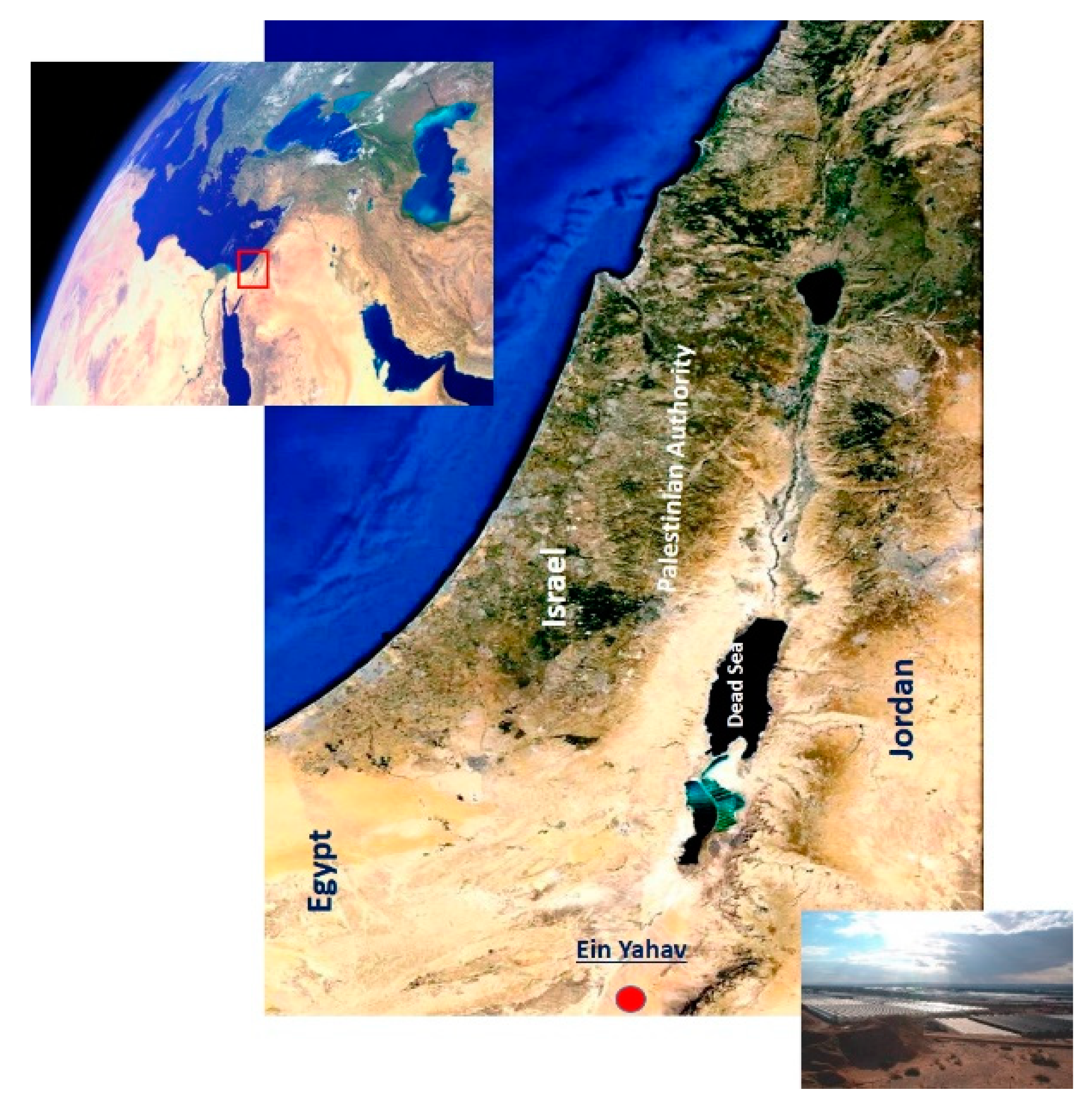 Agronomy 09 00459 g001 550