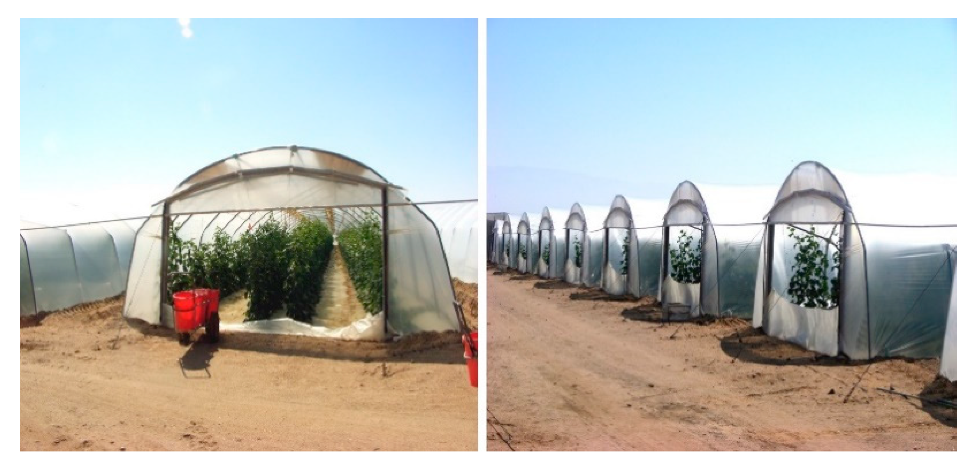 Agronomy 09 00459 g002 550