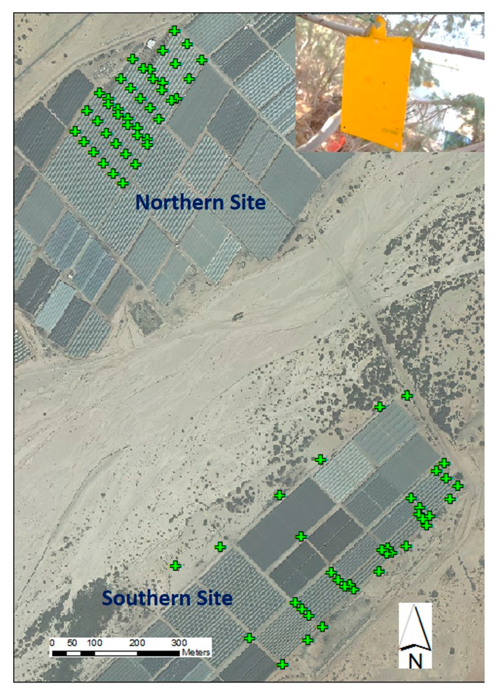 Agronomy 09 00459 g003 550