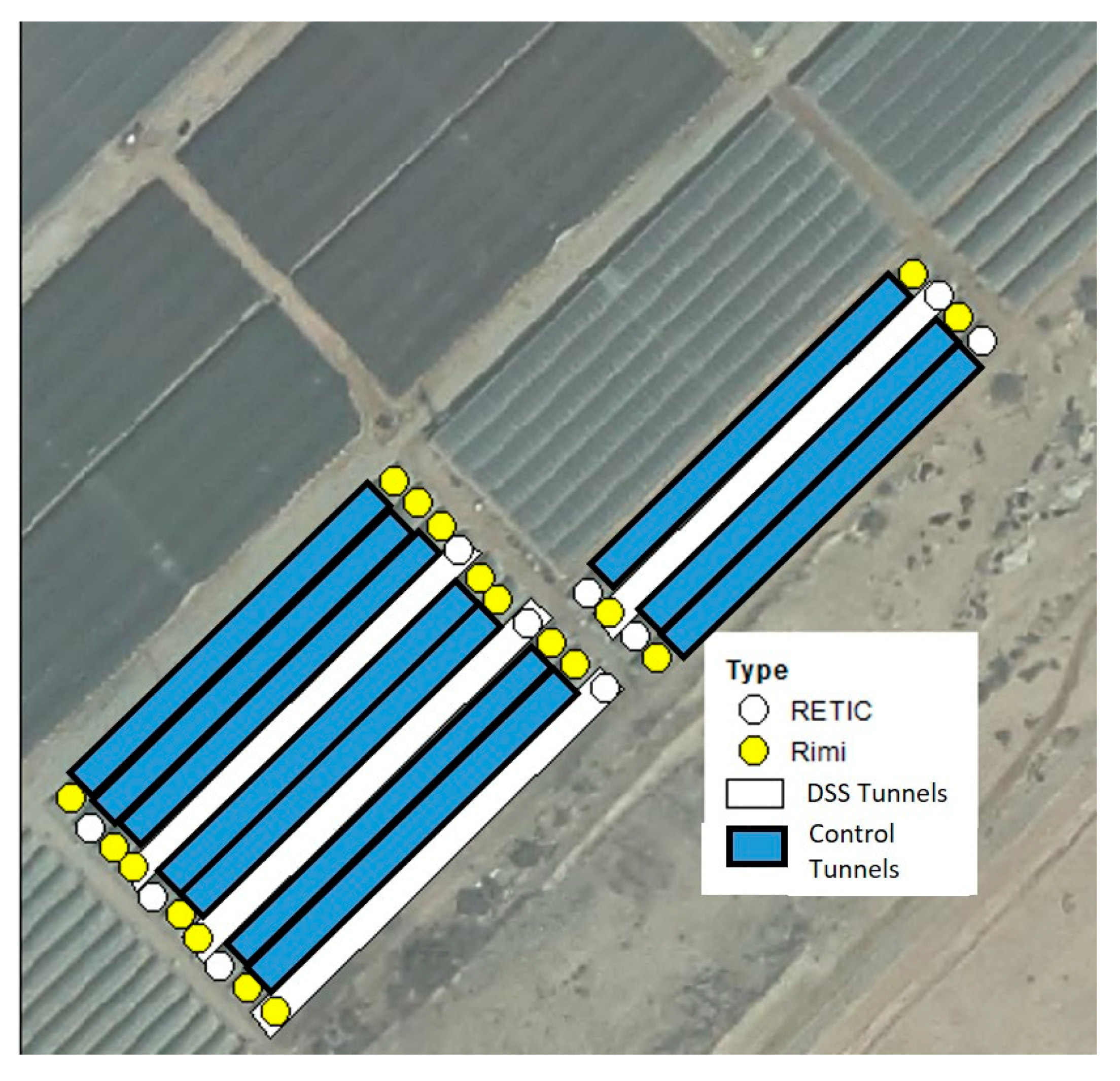 Agronomy 09 00459 g005 550