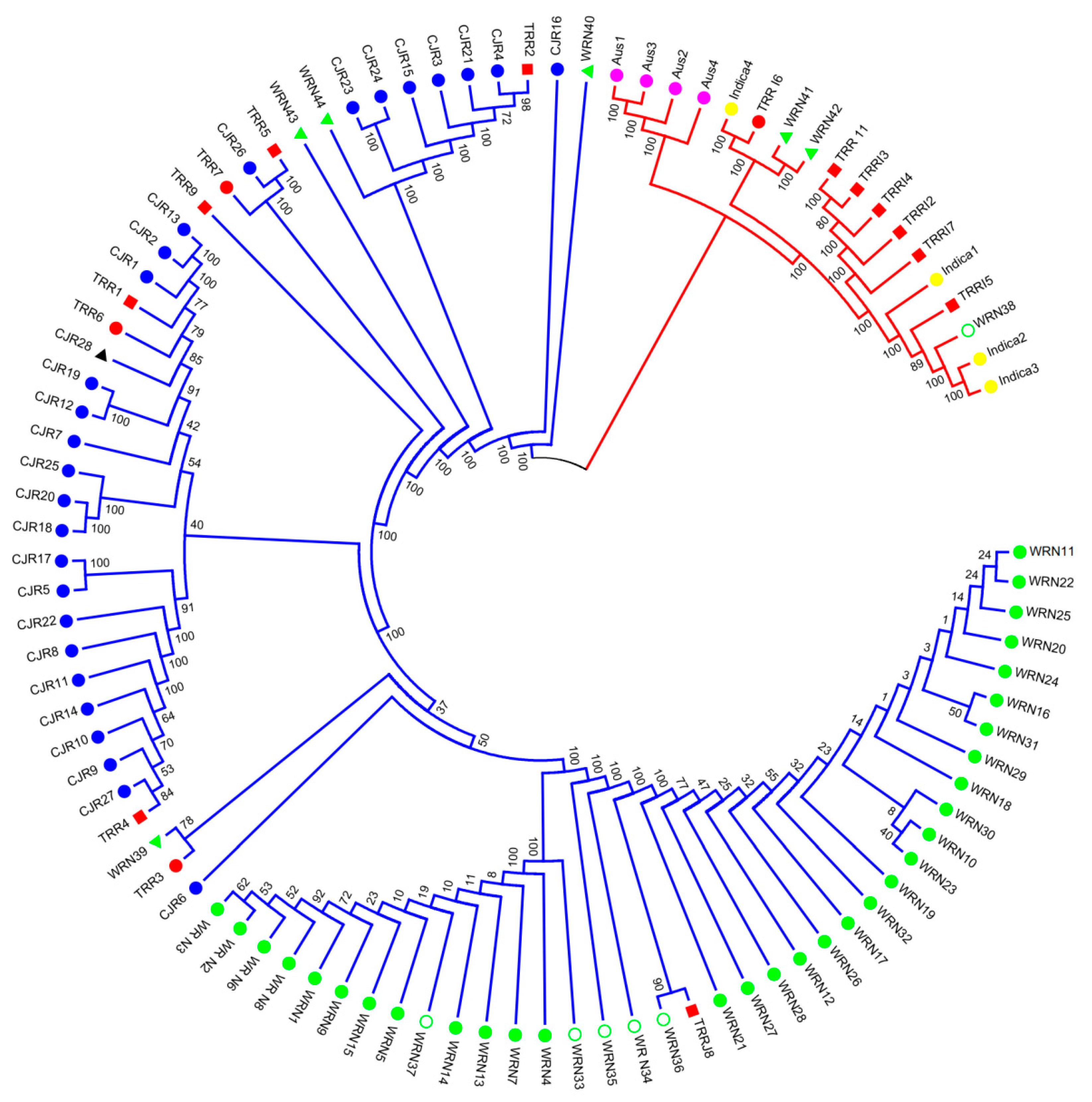 Agronomy 09 00472 g001