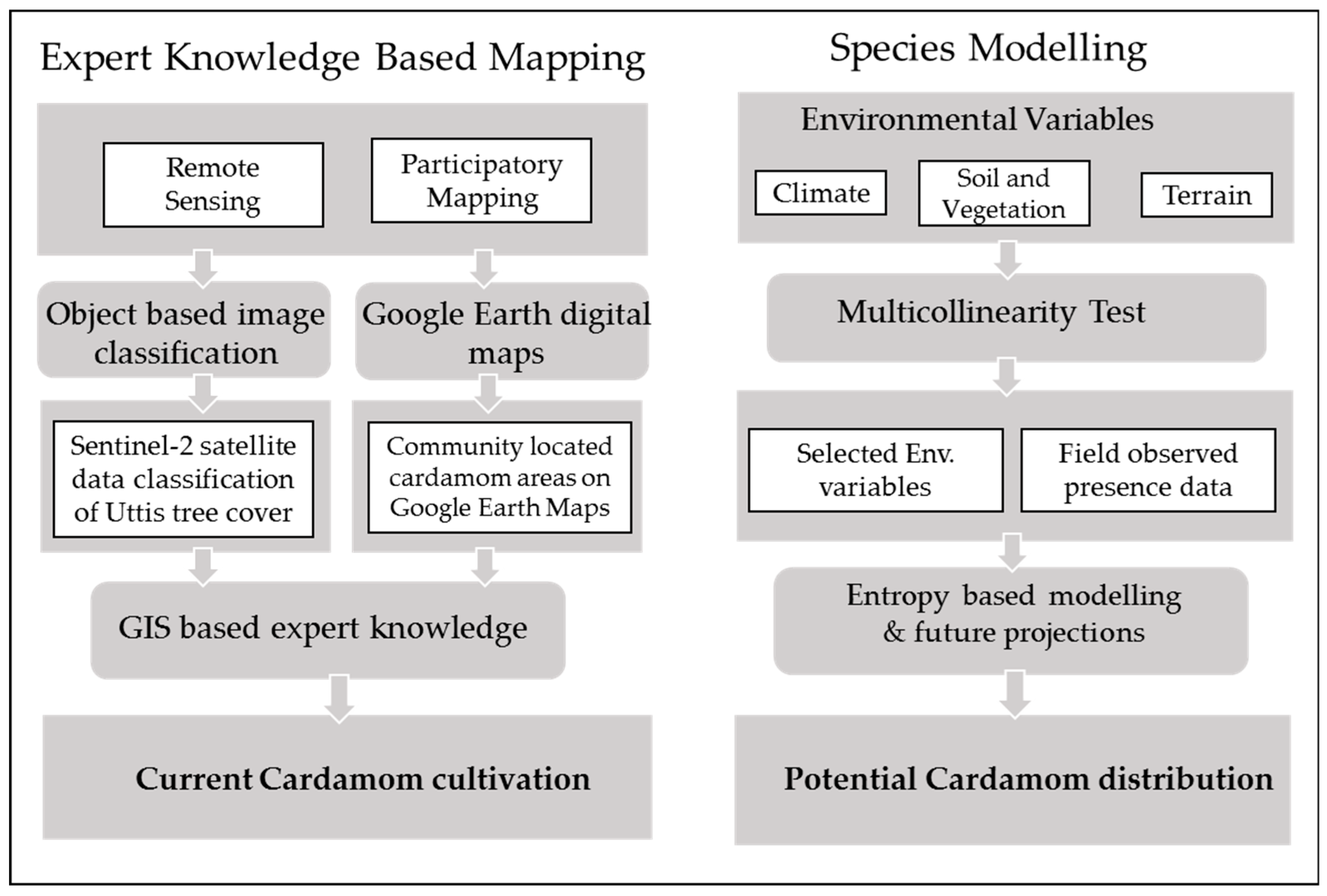 Agronomy 09 00481 g001