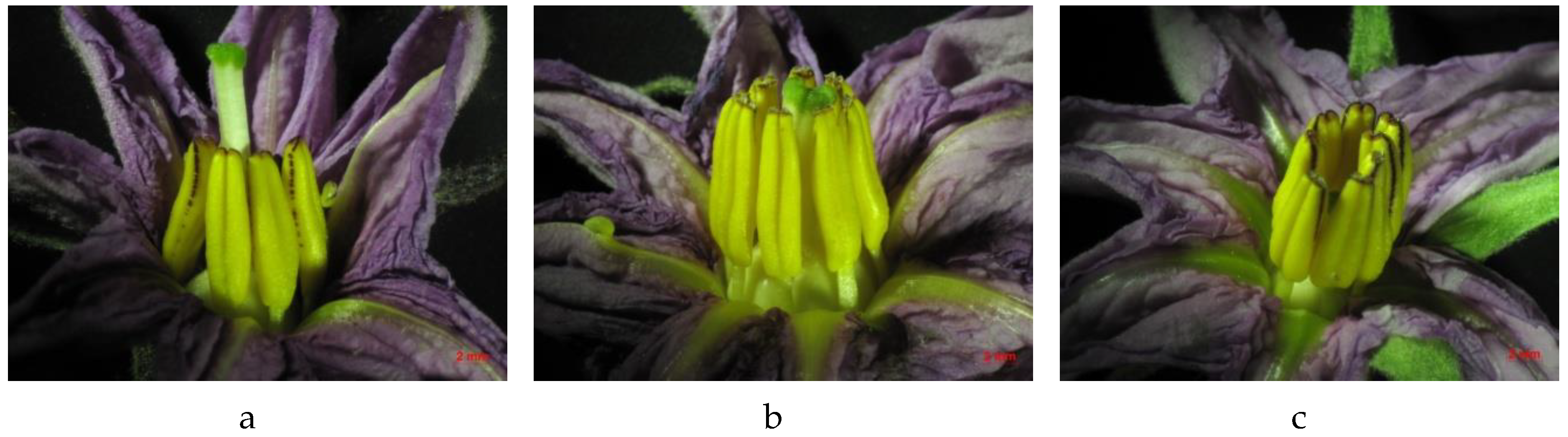 Agronomy 09 00482 g001 Agronomy 09 00482 g001