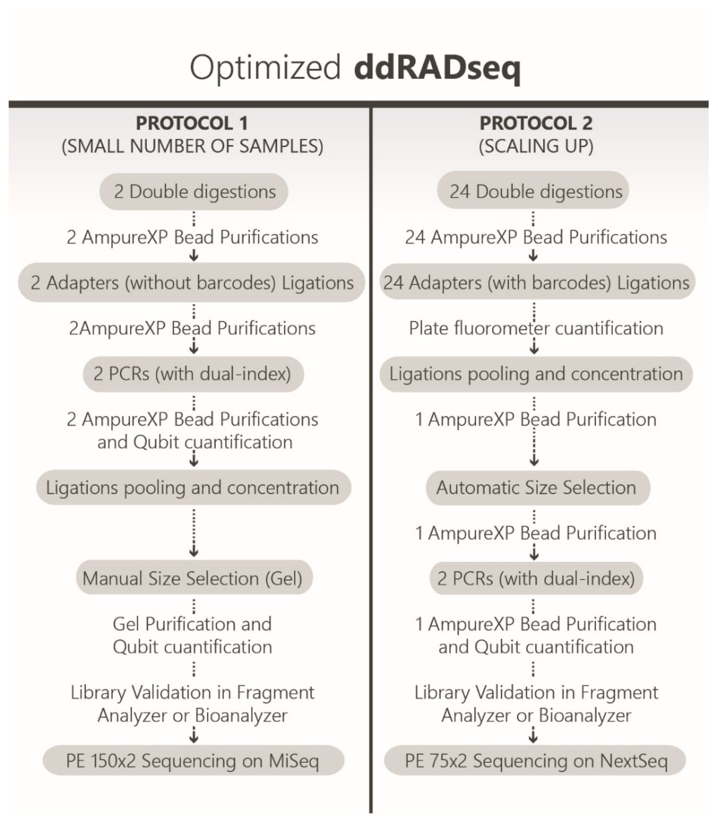 Agronomy 09 00484 g001