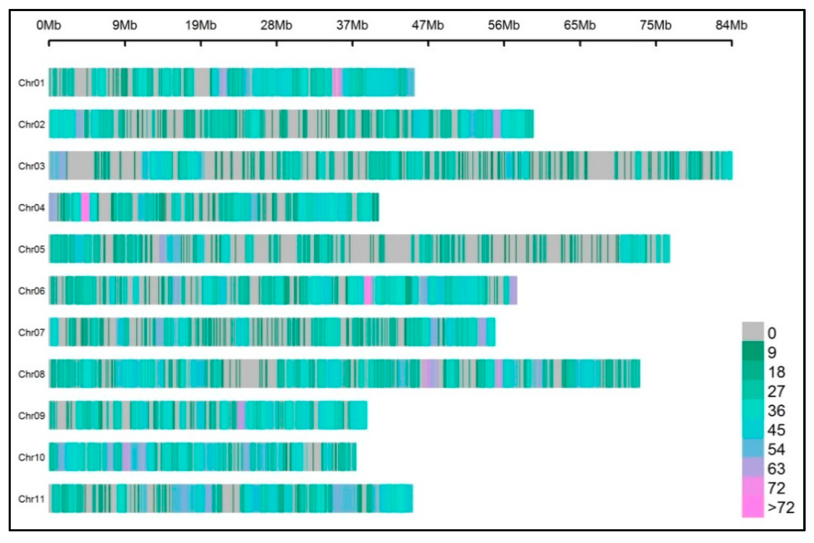 Agronomy 09 00484 g005