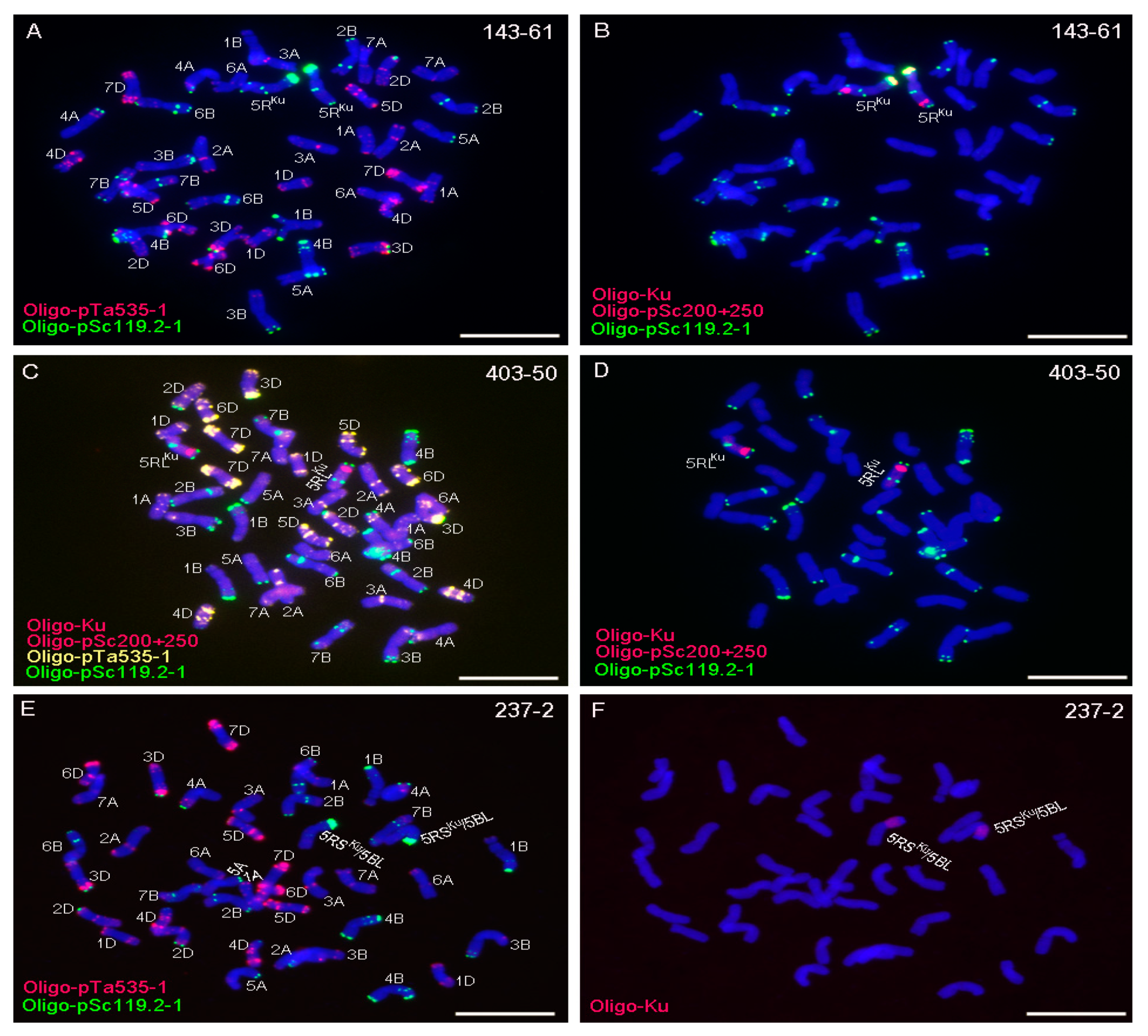 Agronomy 09 00498 g002 Agronomy 09 00498 g002