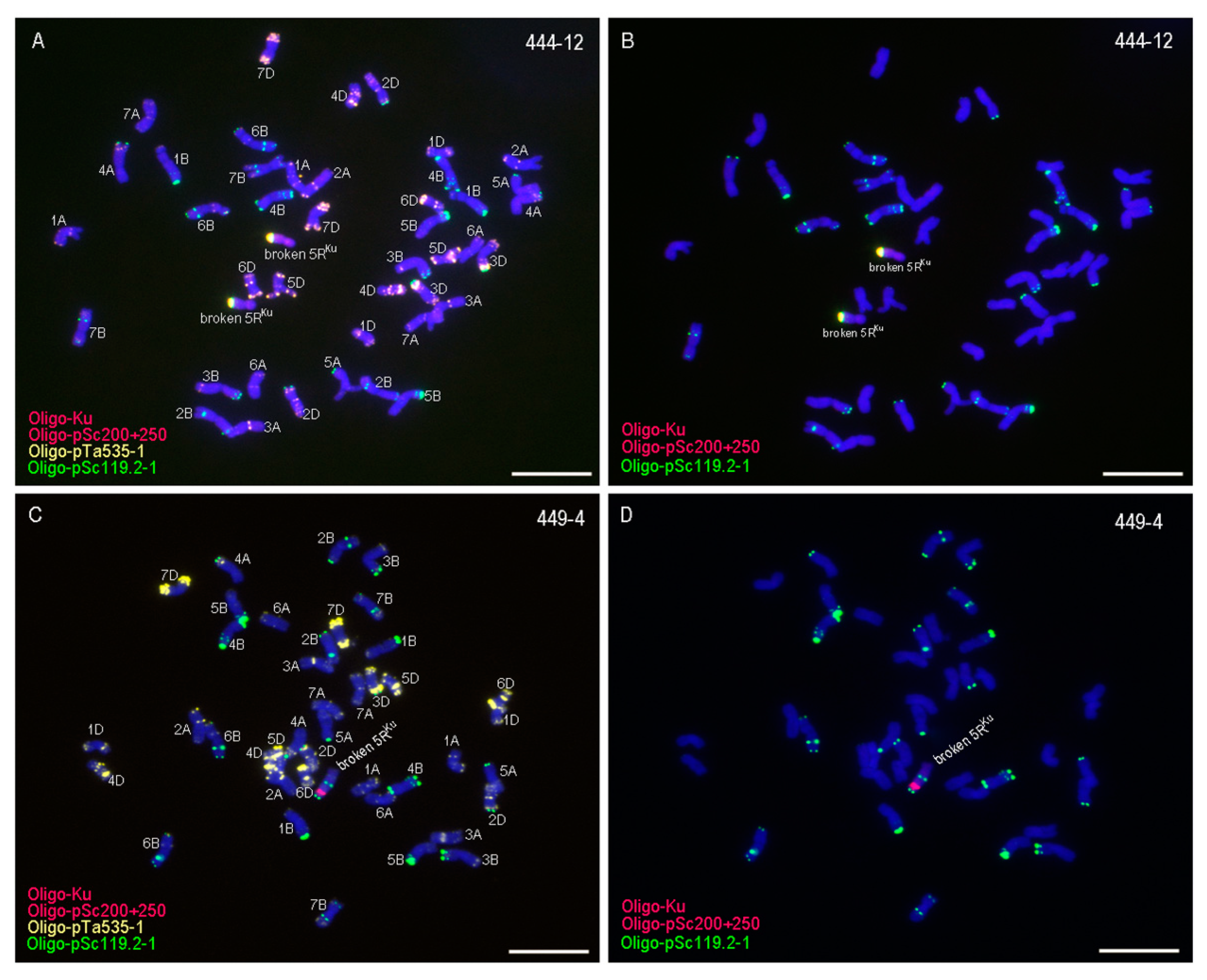 Agronomy 09 00498 g003 Agronomy 09 00498 g003