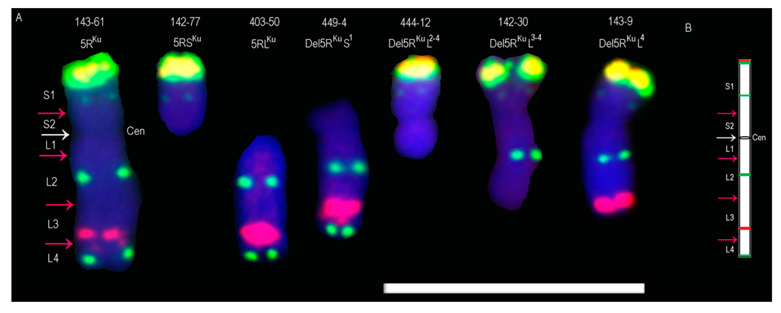 Agronomy 09 00498 g004 Agronomy 09 00498 g004