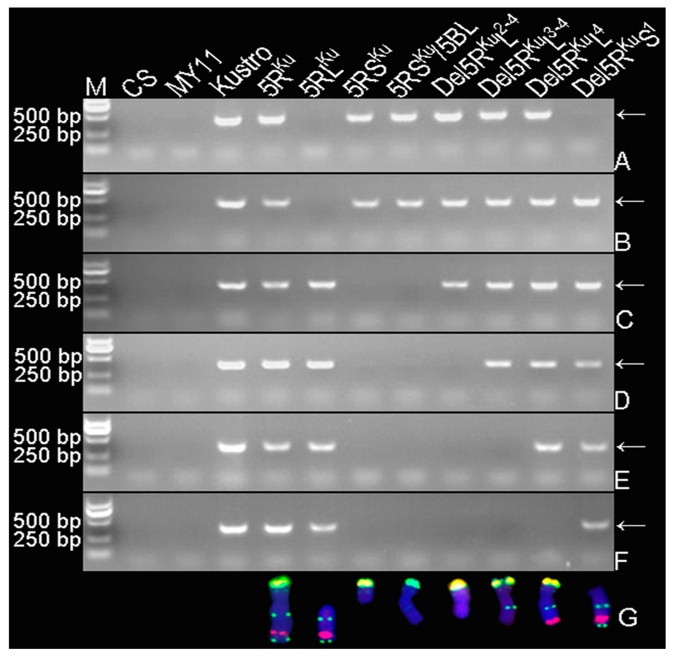 Agronomy 09 00498 g006 Agronomy 09 00498 g006