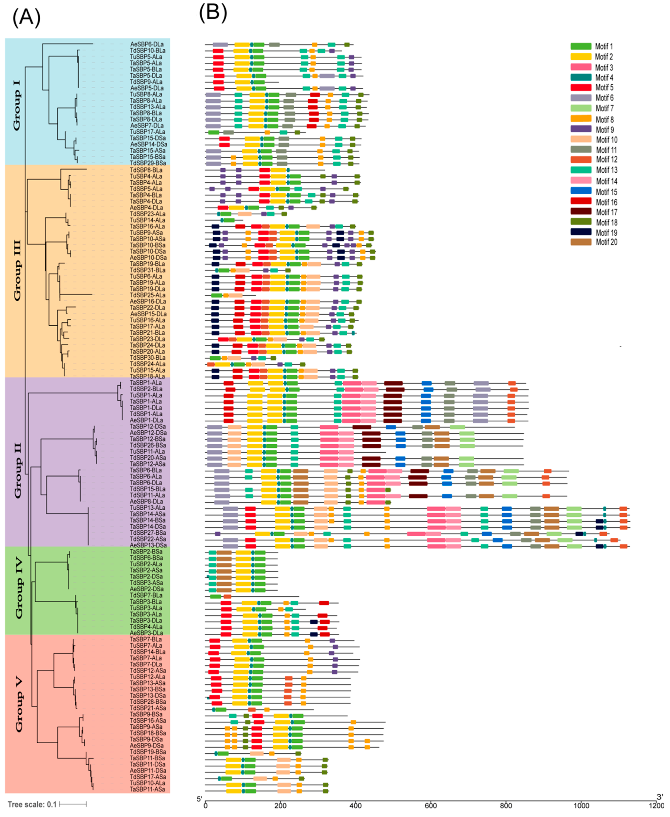 Agronomy 09 00527 g002