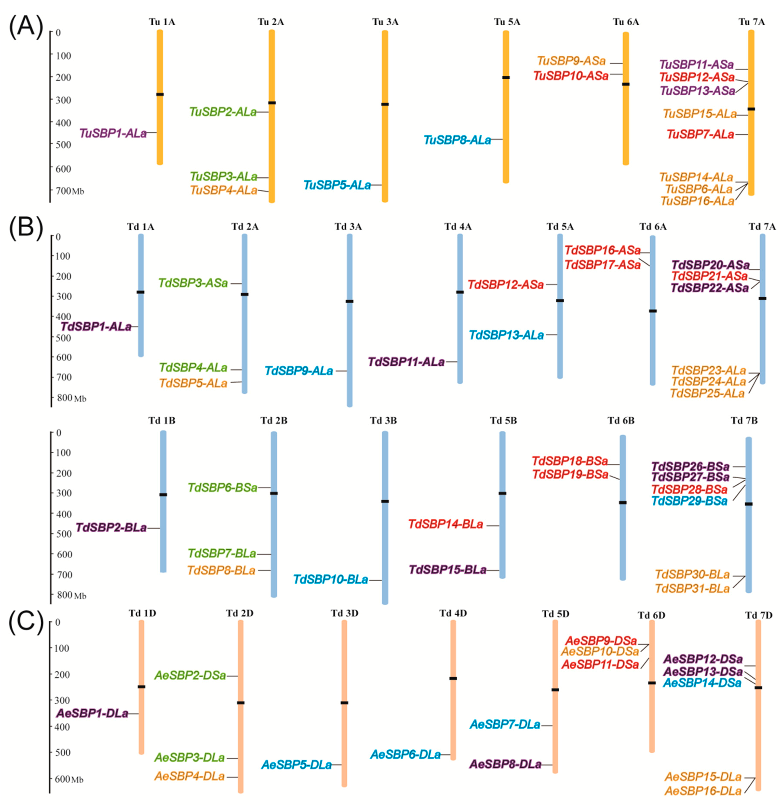 Agronomy 09 00527 g004
