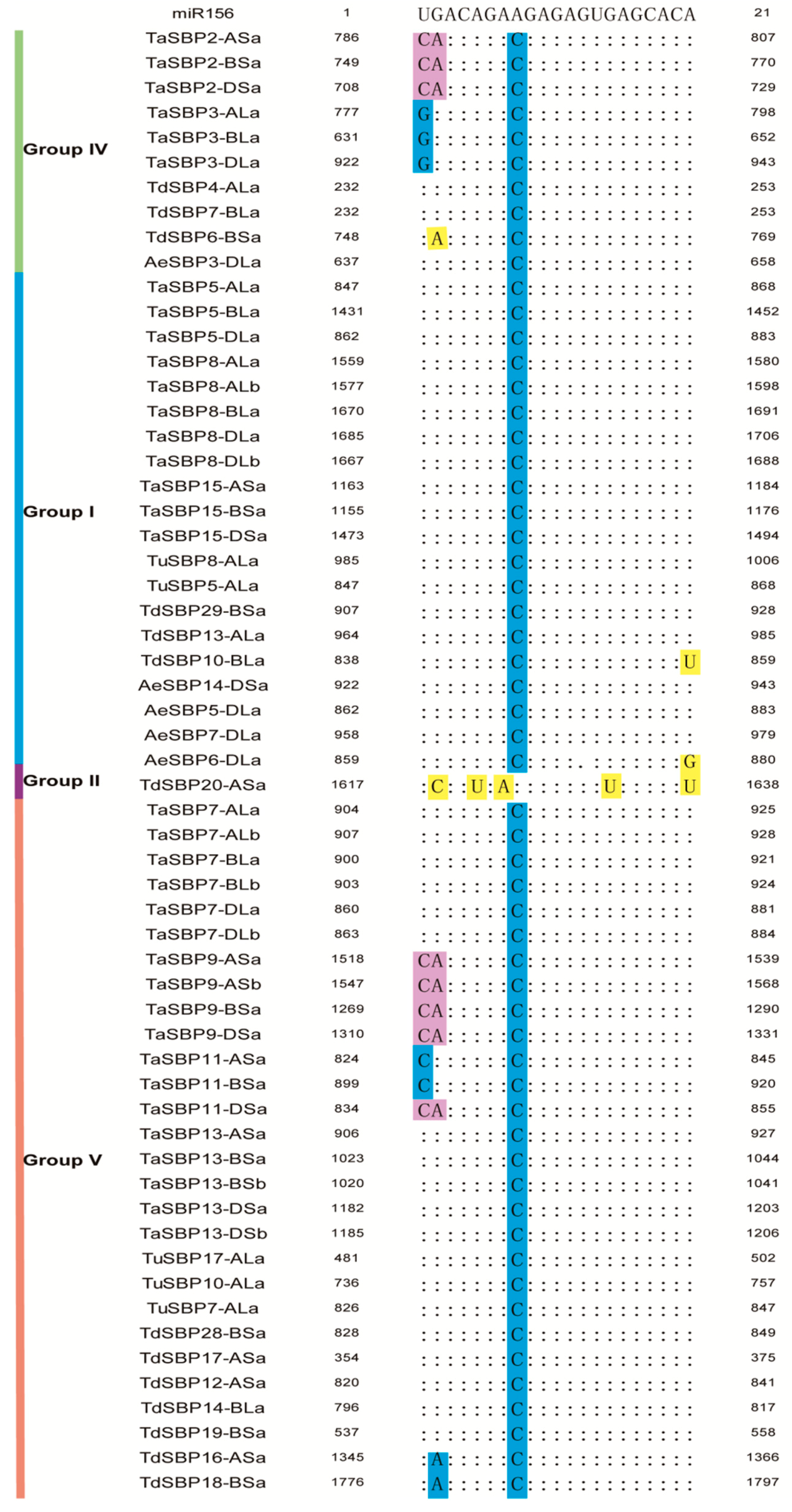 Agronomy 09 00527 g006