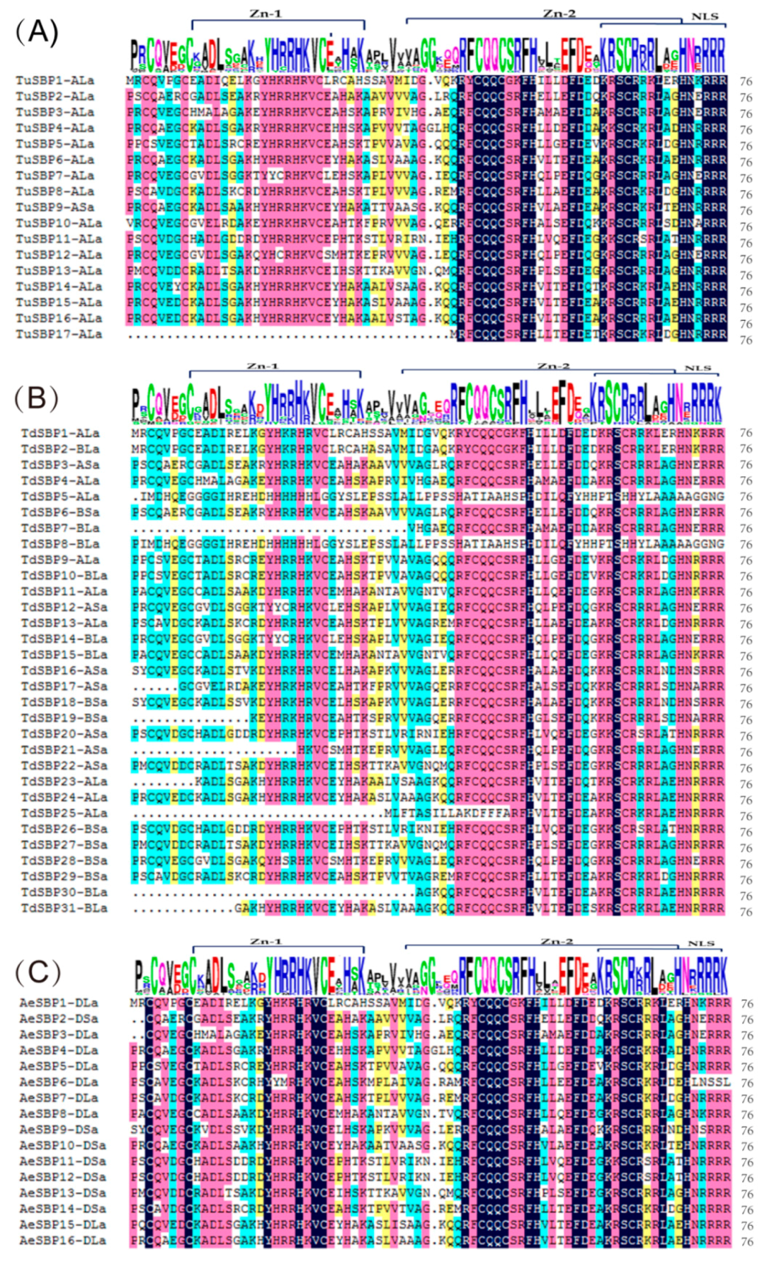 Agronomy 09 00527 g014